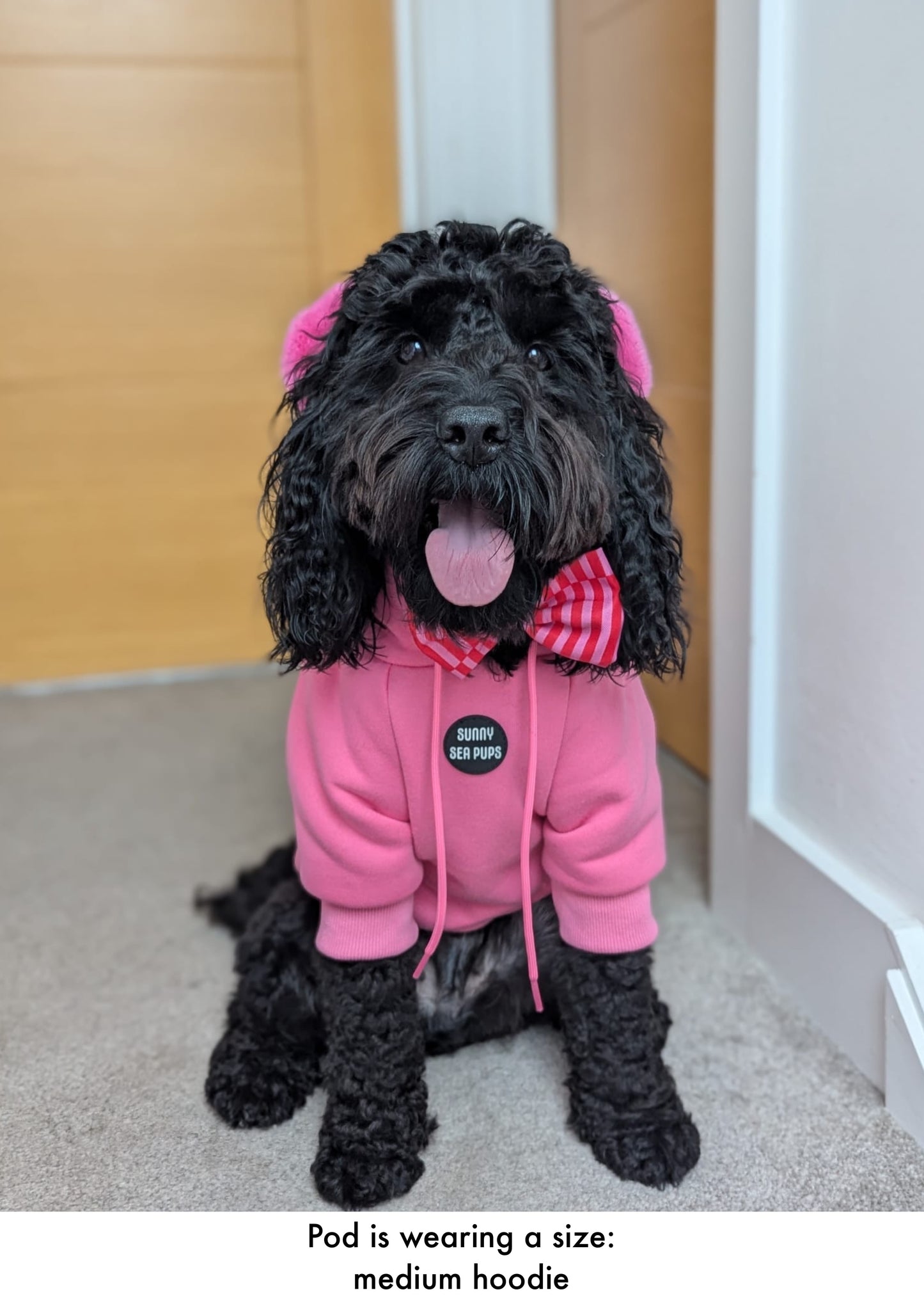 Pink - Teddy Bear Hoodie
