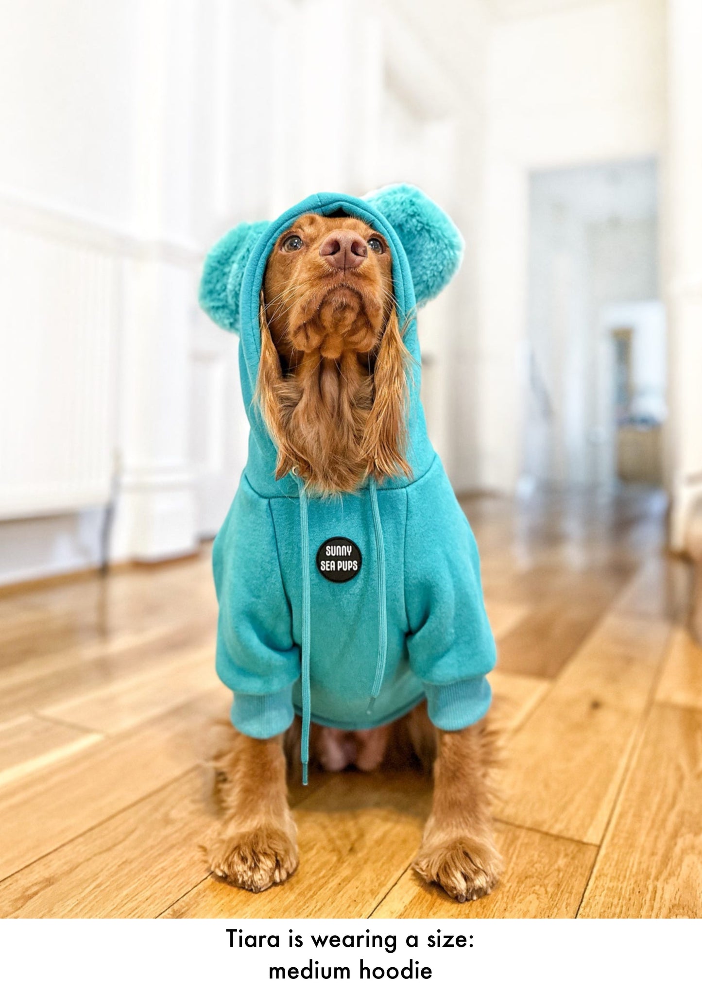 Turquoise - Teddy Bear Hoodie