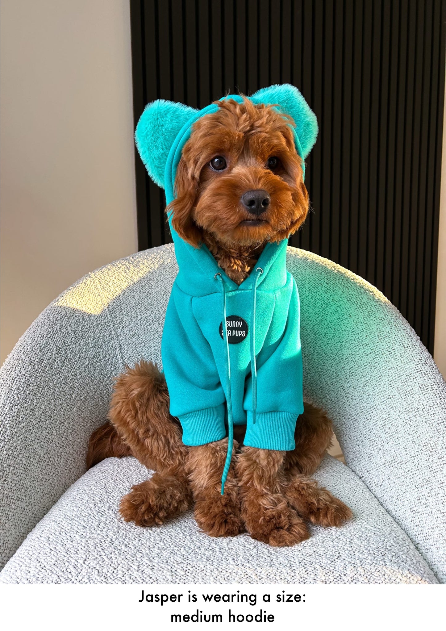 Turquoise - Teddy Bear Hoodie
