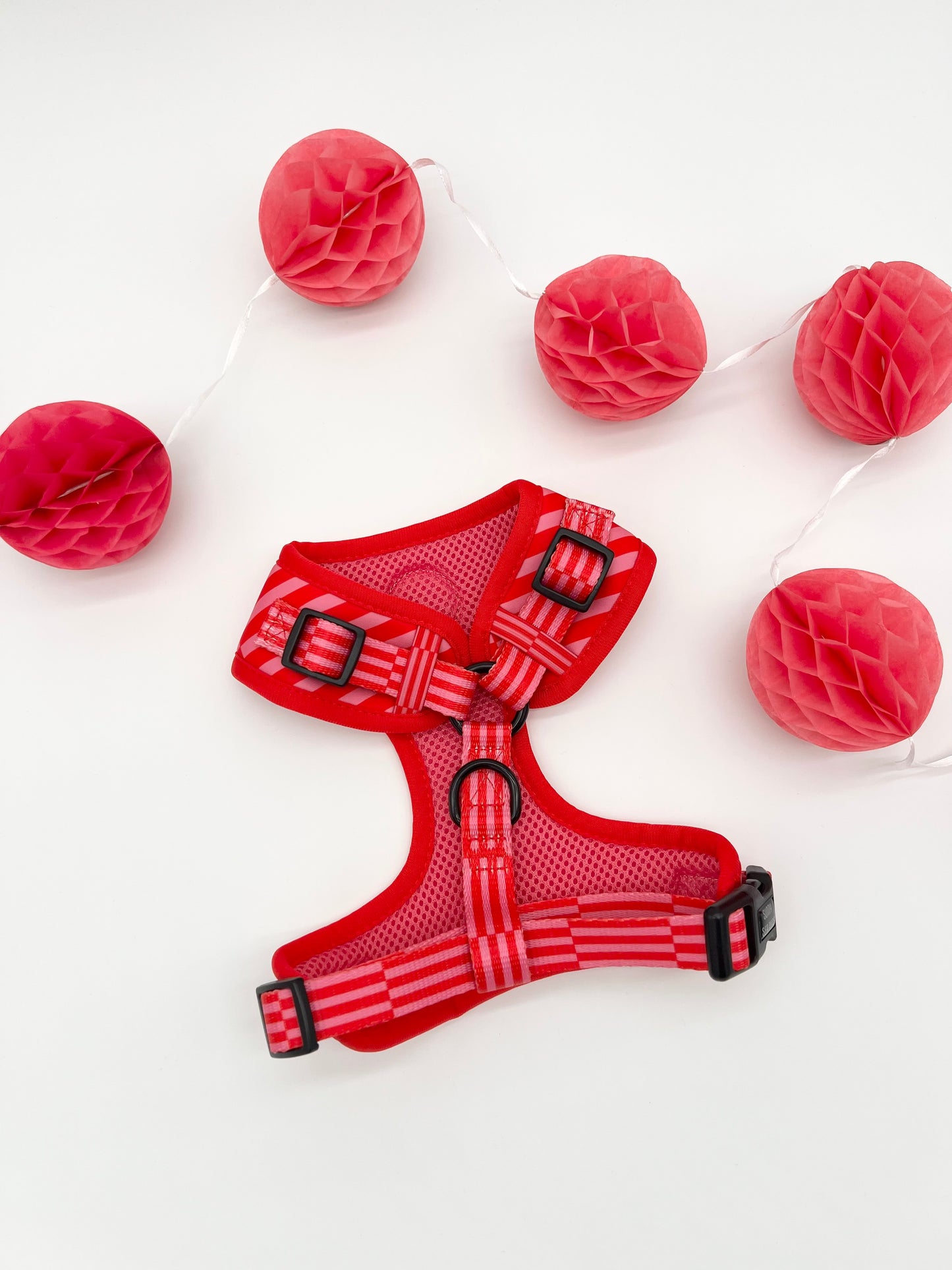 Blush Bay - Adjustable Harness
