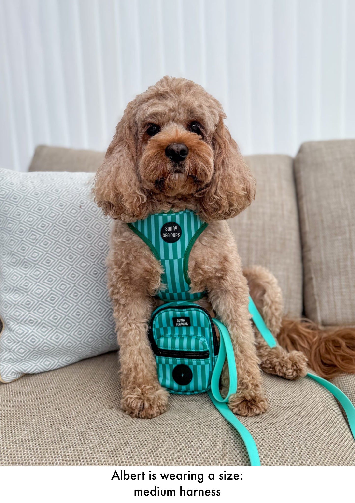 Coastal Calm - Adjustable Harness