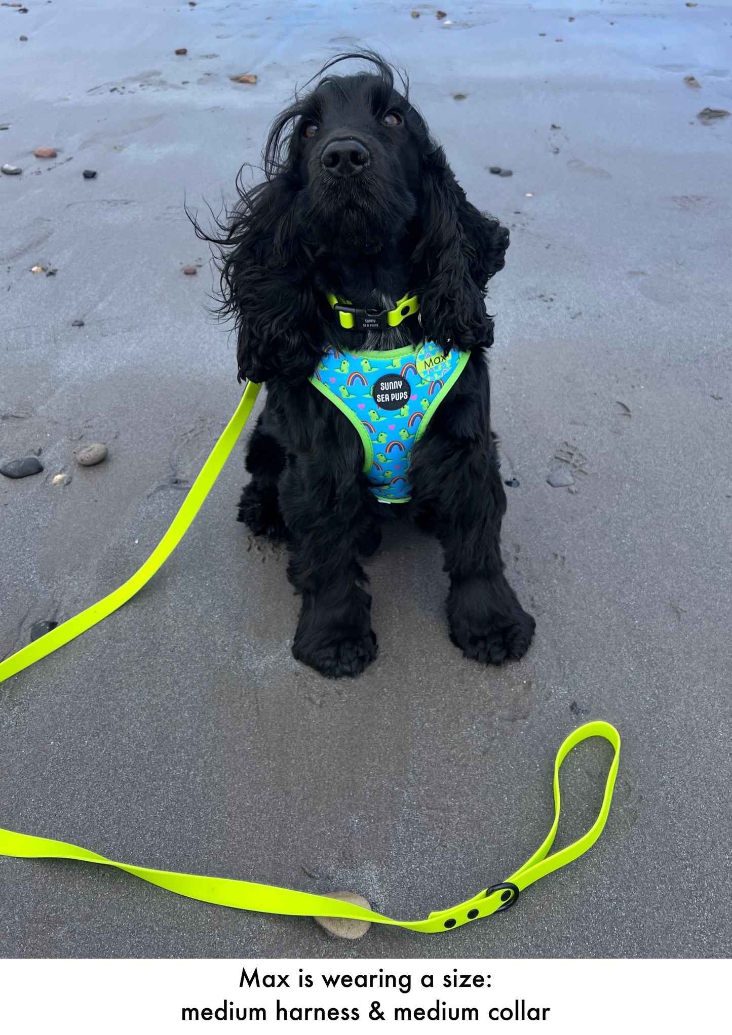Lime - Waterproof Lead