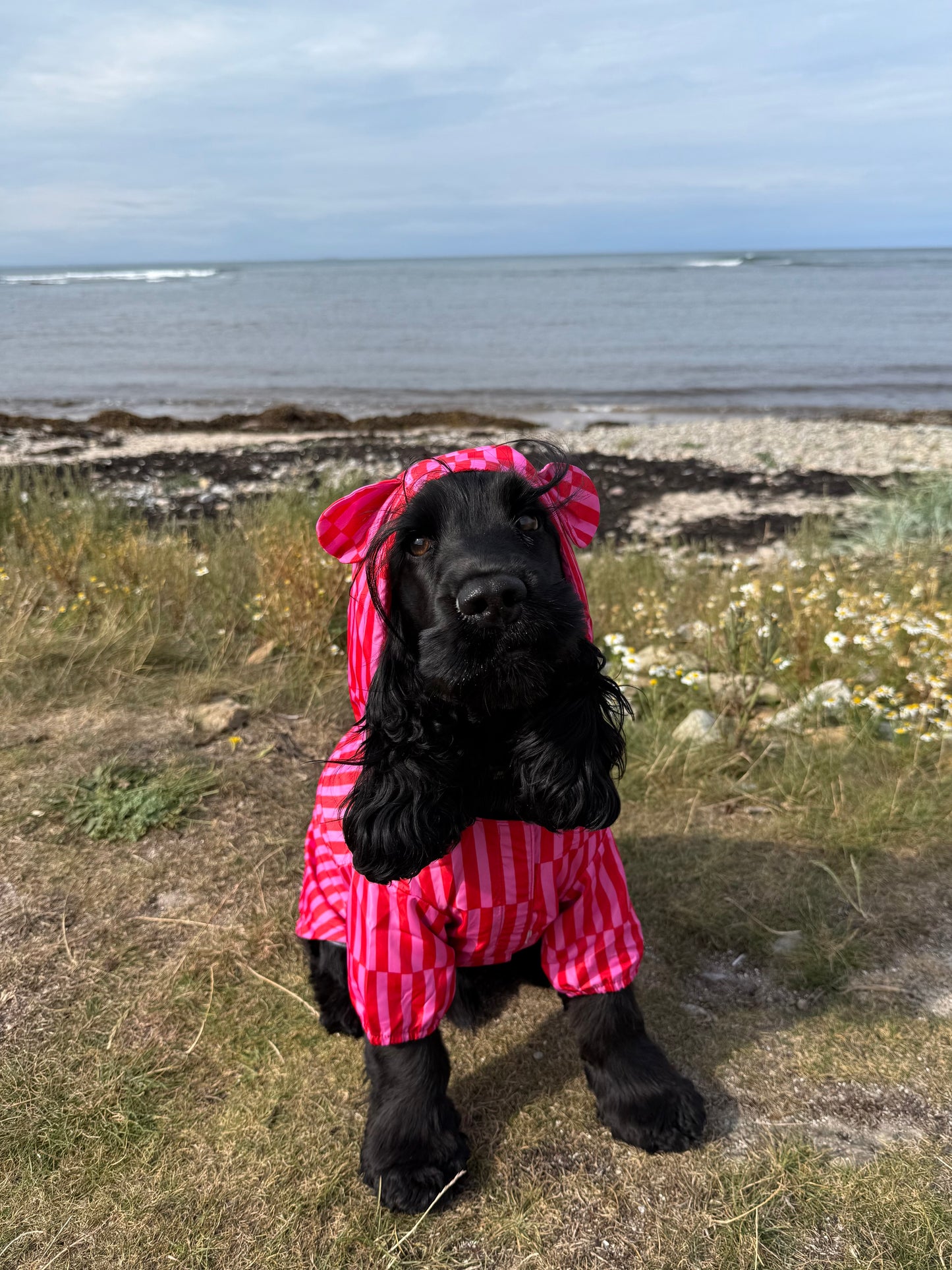 Blush Bay - Lightweight Teddy Raincoat