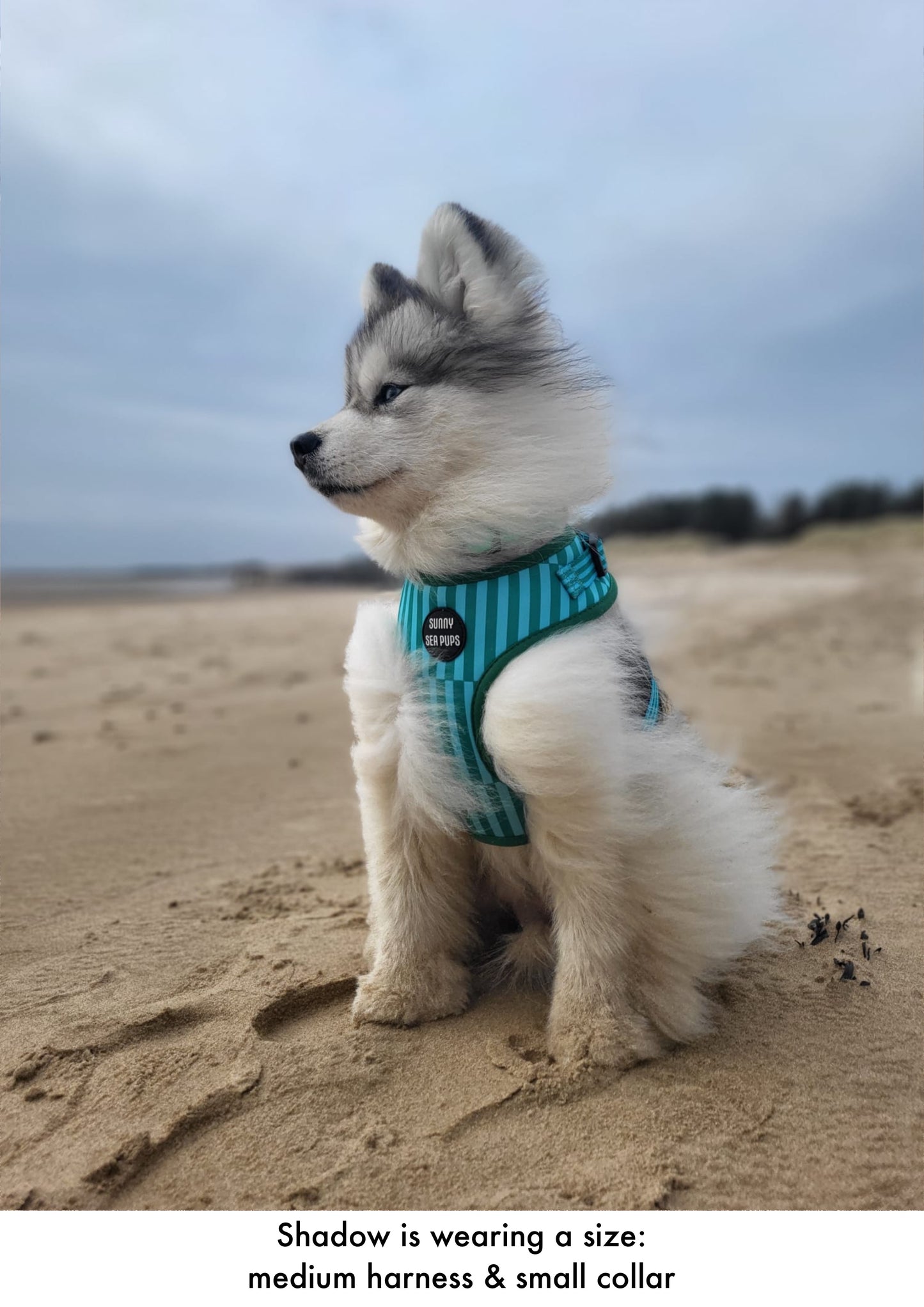 Coastal Calm - Adjustable Harness