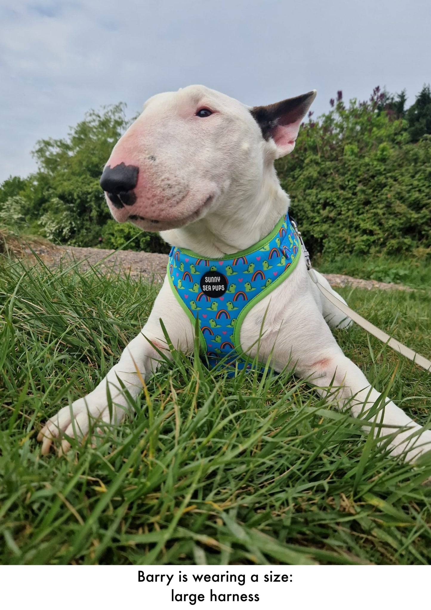 Lil Sea-Saurus - Adjustable Harness