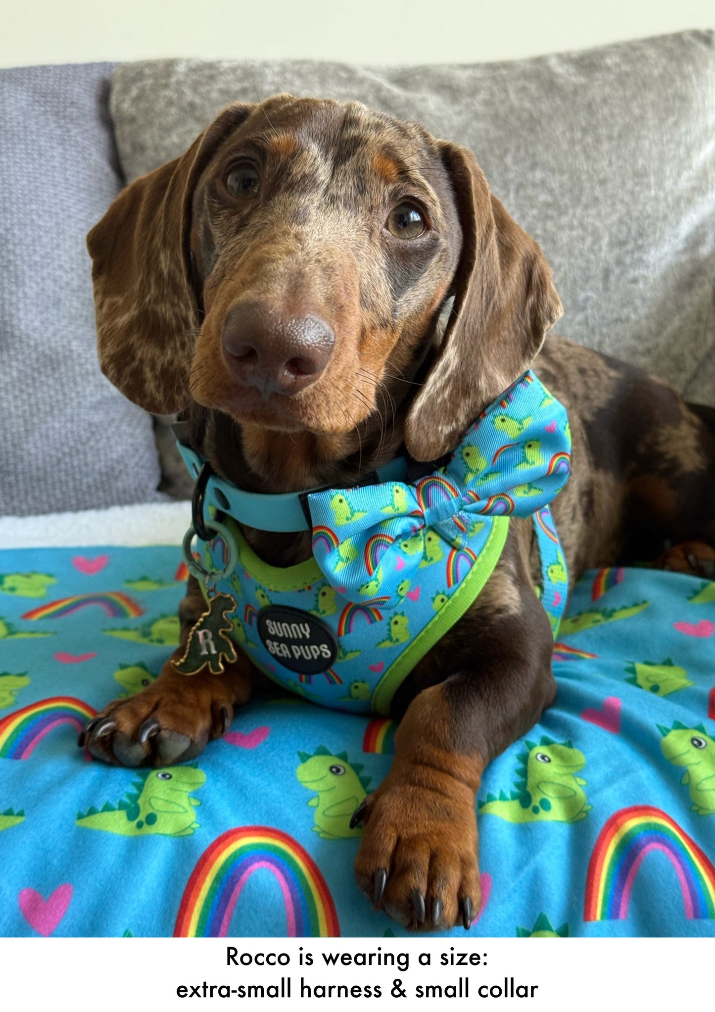 Lil Sea-Saurus - Blanket - Buy 1 & we’ll DONATE 2