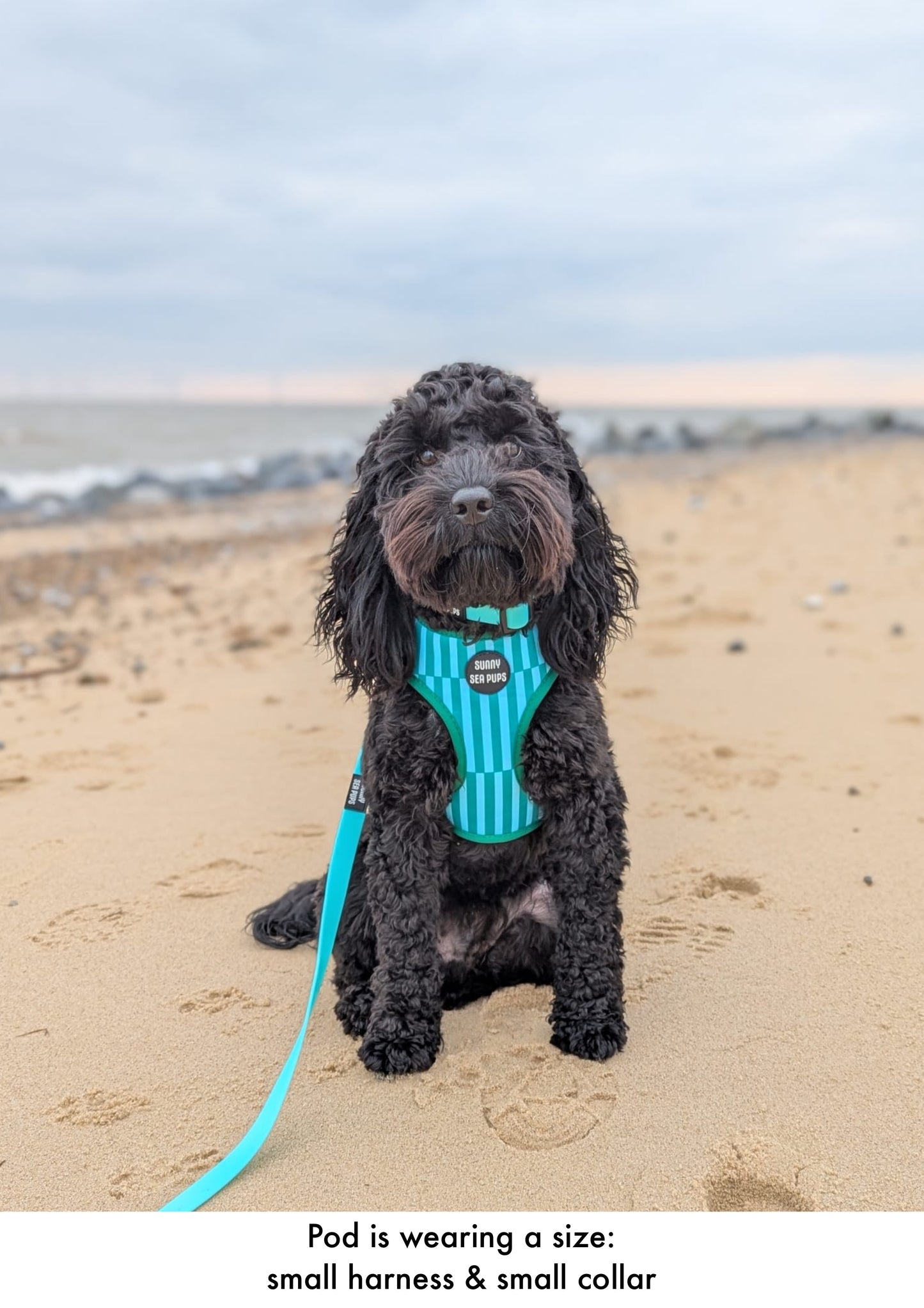 Mint - Waterproof Collar