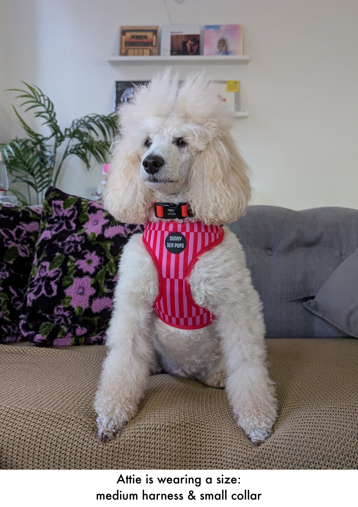 Red - Waterproof collar