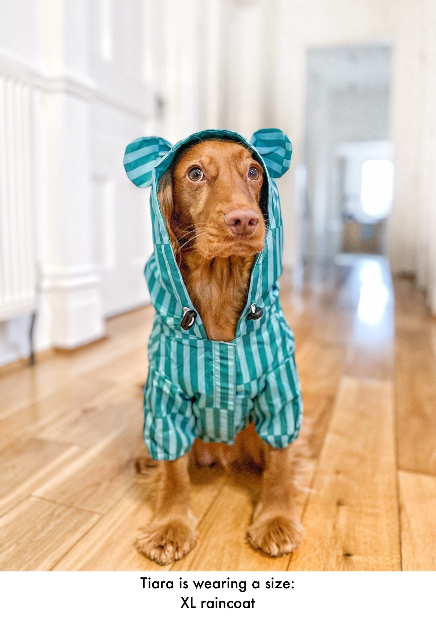 Coastal Calm - Lightweight Teddy Raincoat - PLEASE CHECK MEASUREMENTS