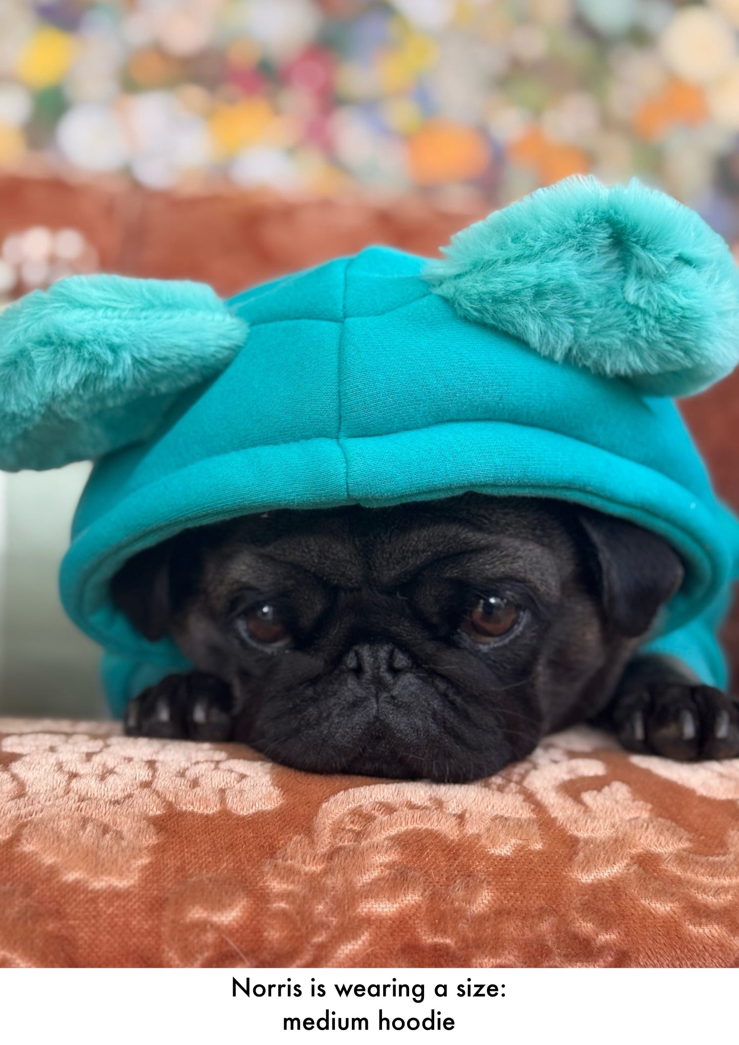 Turquoise - Teddy Bear Hoodie