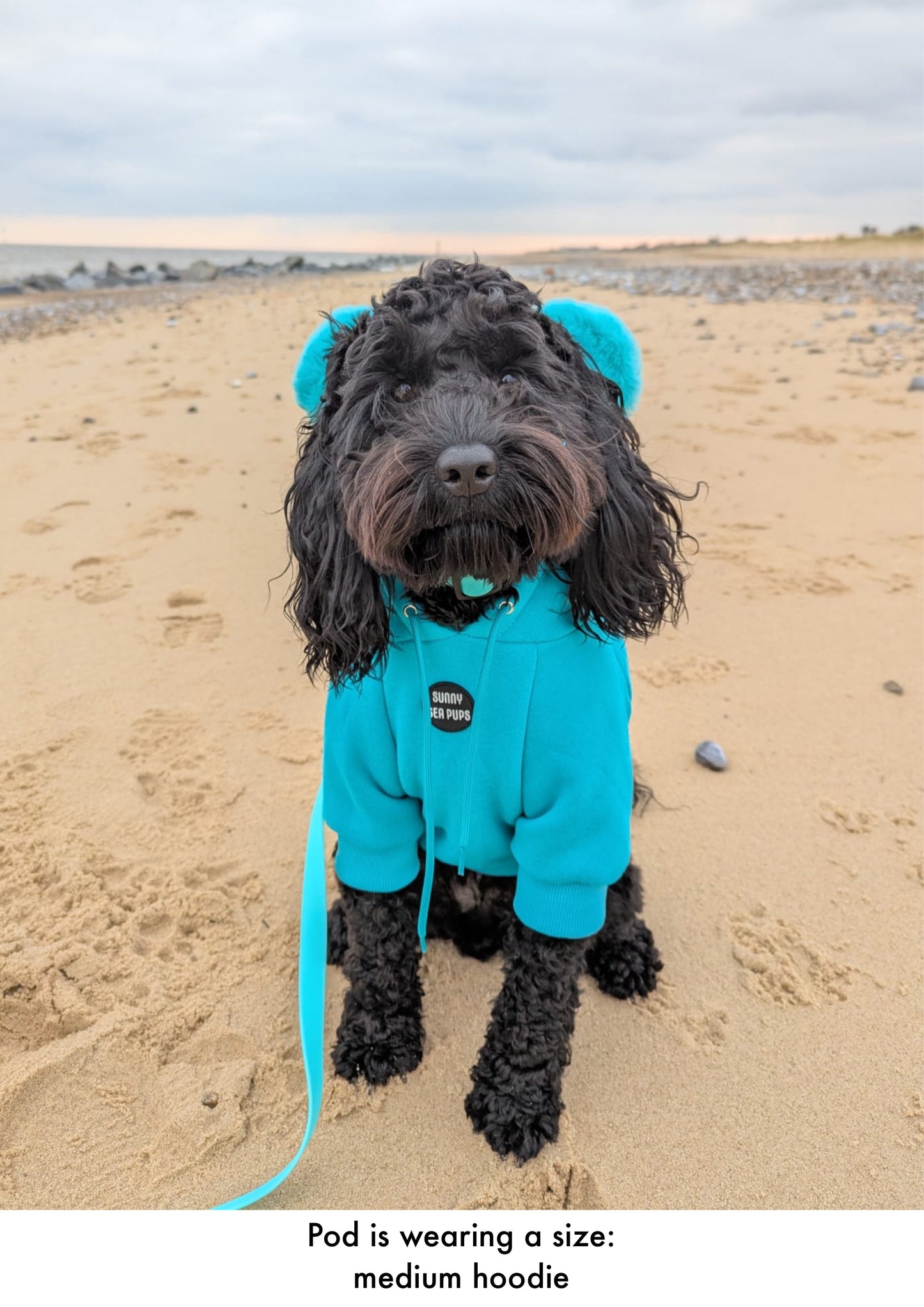Turquoise - Teddy Bear Hoodie