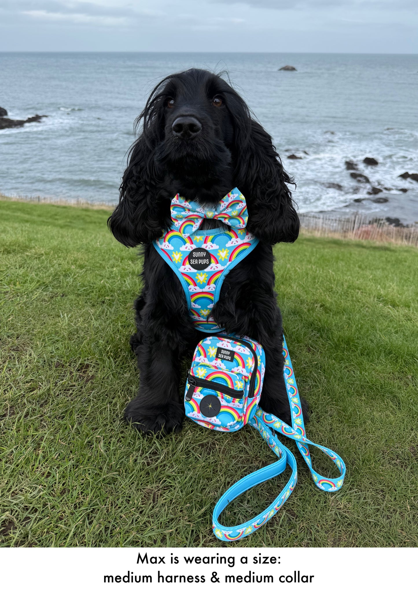 Chasing Rainbows - Adjustable Harness