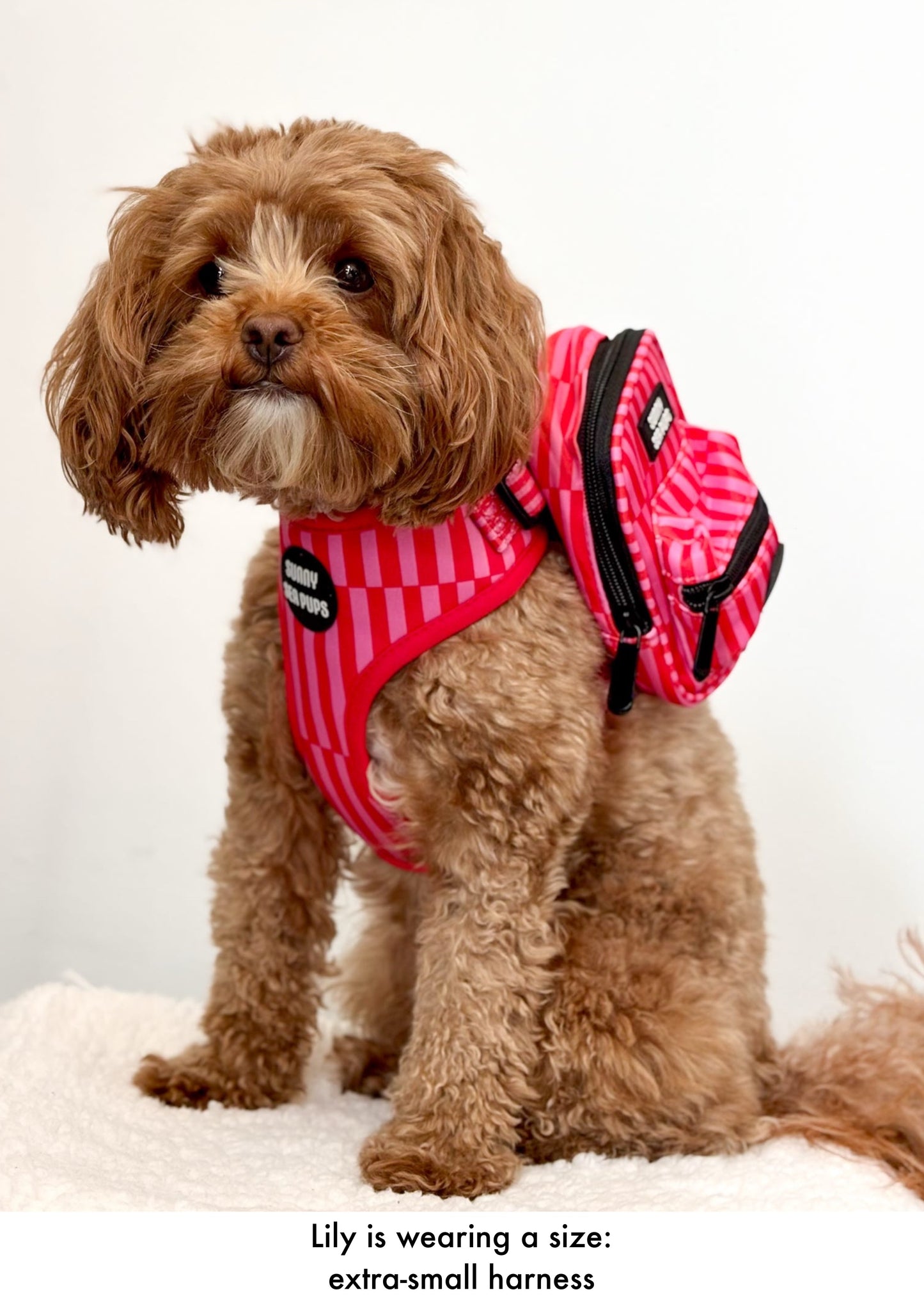 Blush Bay - Adjustable Harness