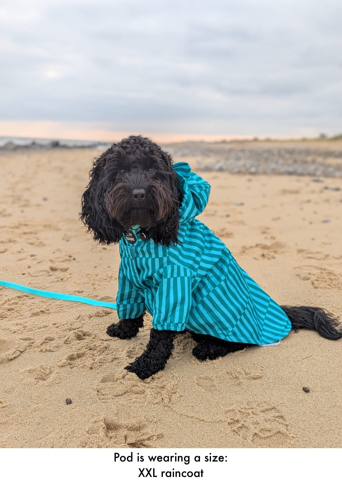 Coastal Calm - Lightweight Teddy Raincoat - PLEASE CHECK MEASUREMENTS