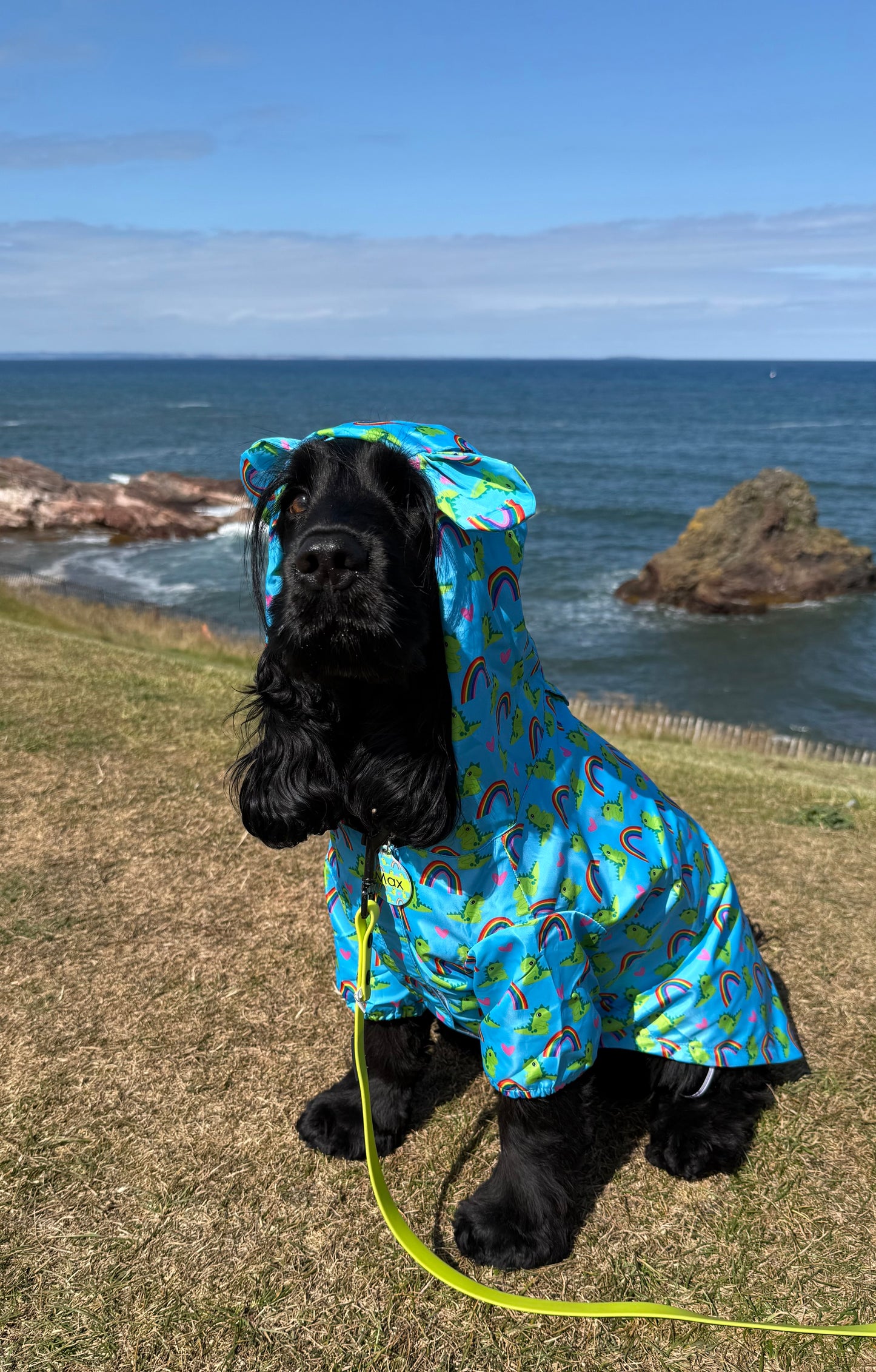 Lil Sea-Saurus - Lightweight Teddy Raincoat