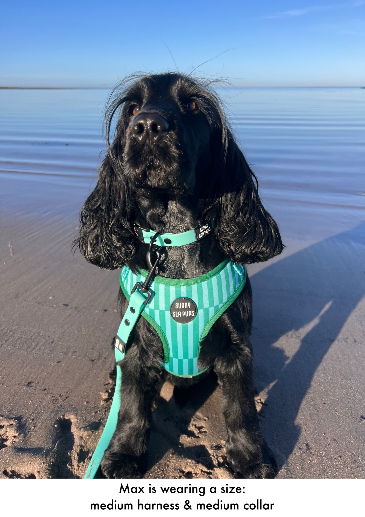 Mint - Waterproof Collar