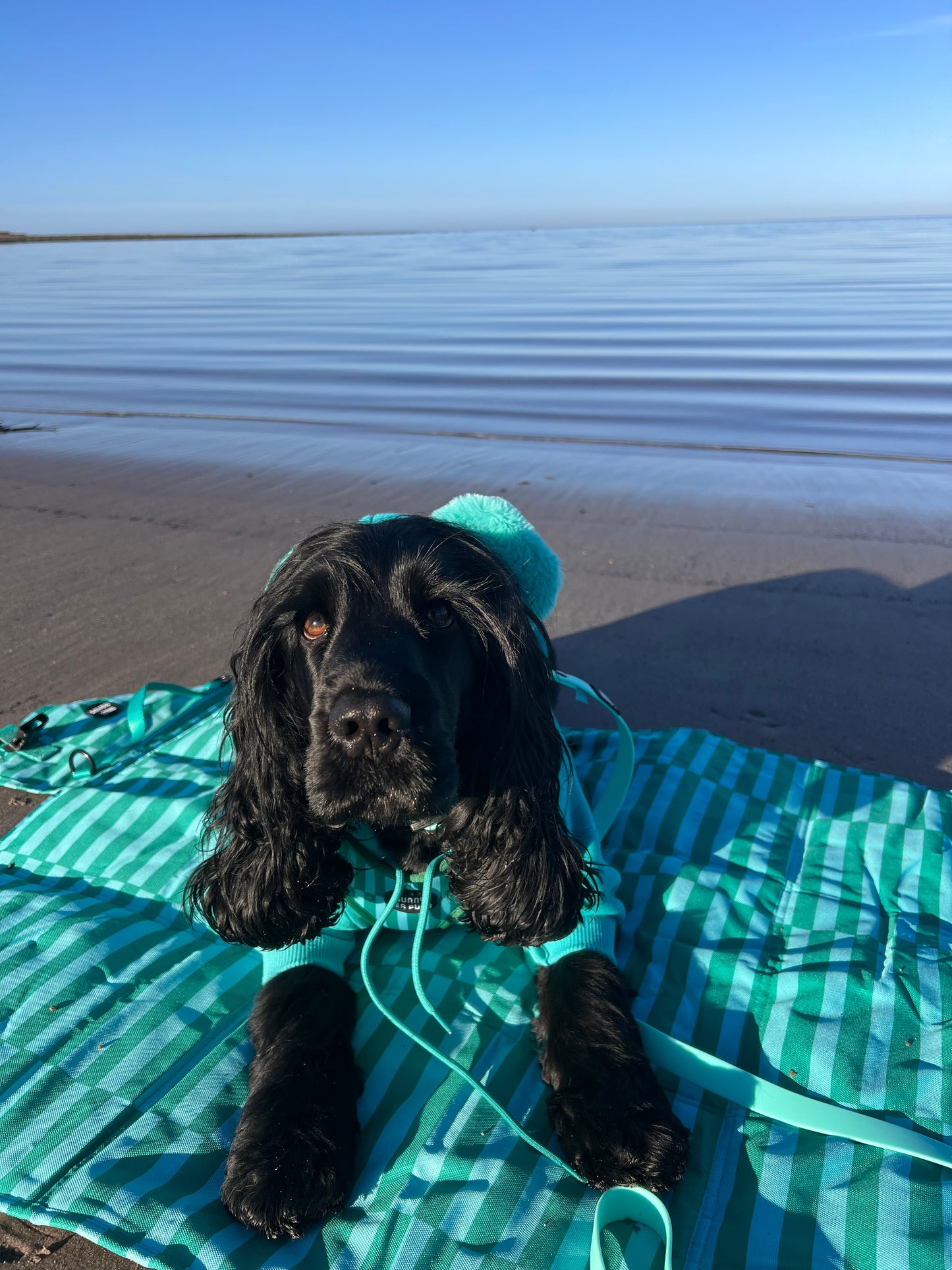 Coastal Calm - Travel Mat