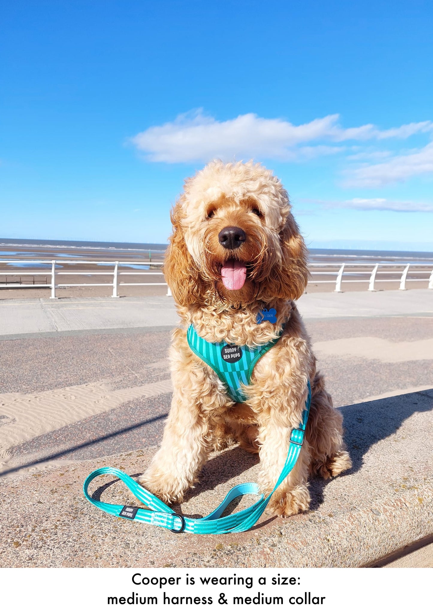 Coastal Calm - Adjustable Harness