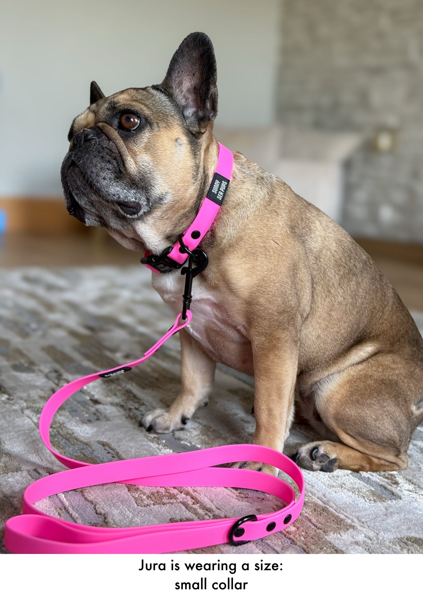Pink - Waterproof Collar