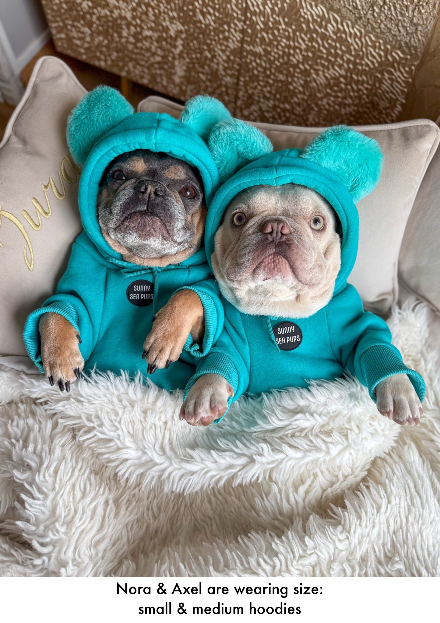 Turquoise - Teddy Bear Hoodie