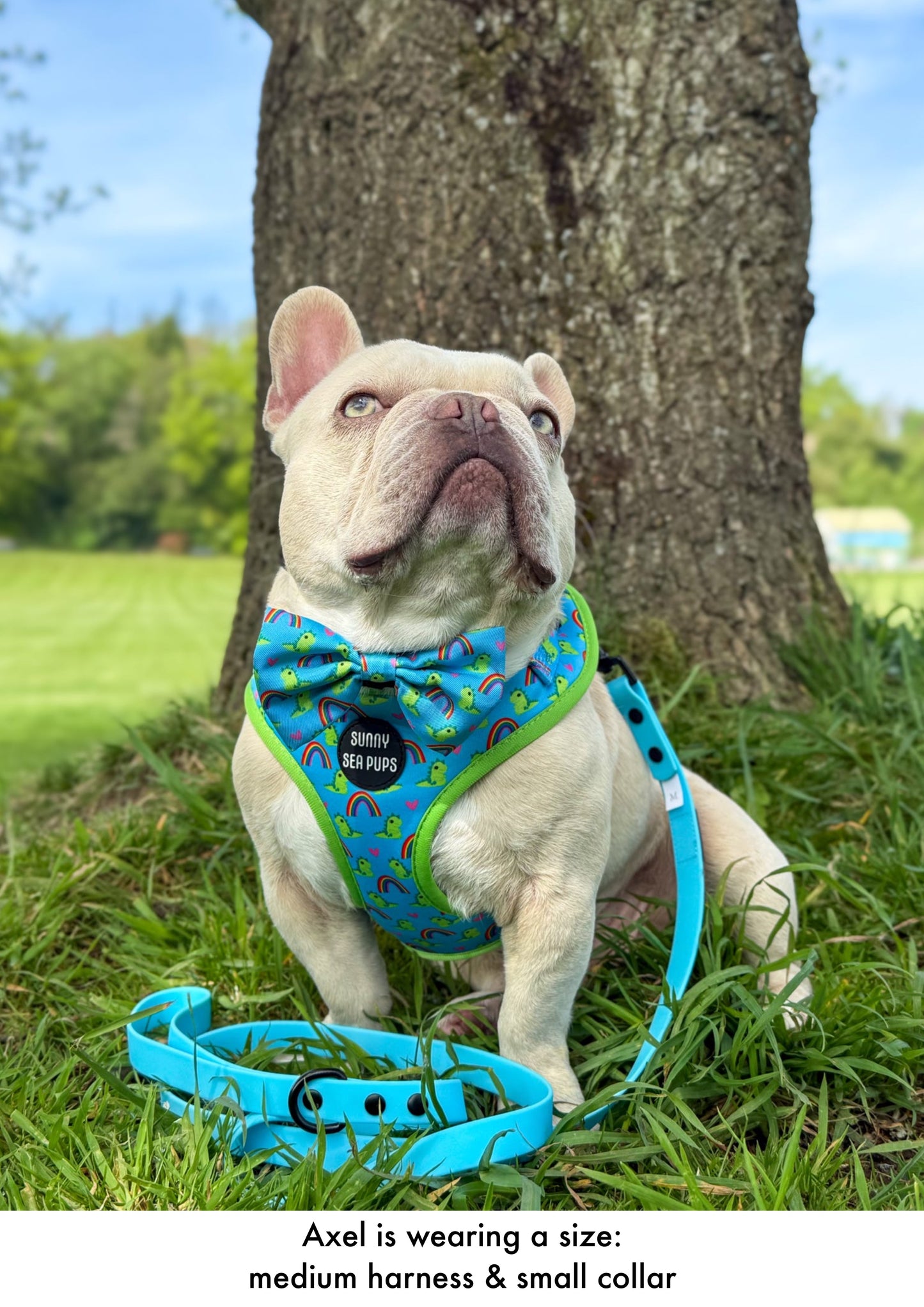 Lil Sea-Saurus - Bow Tie