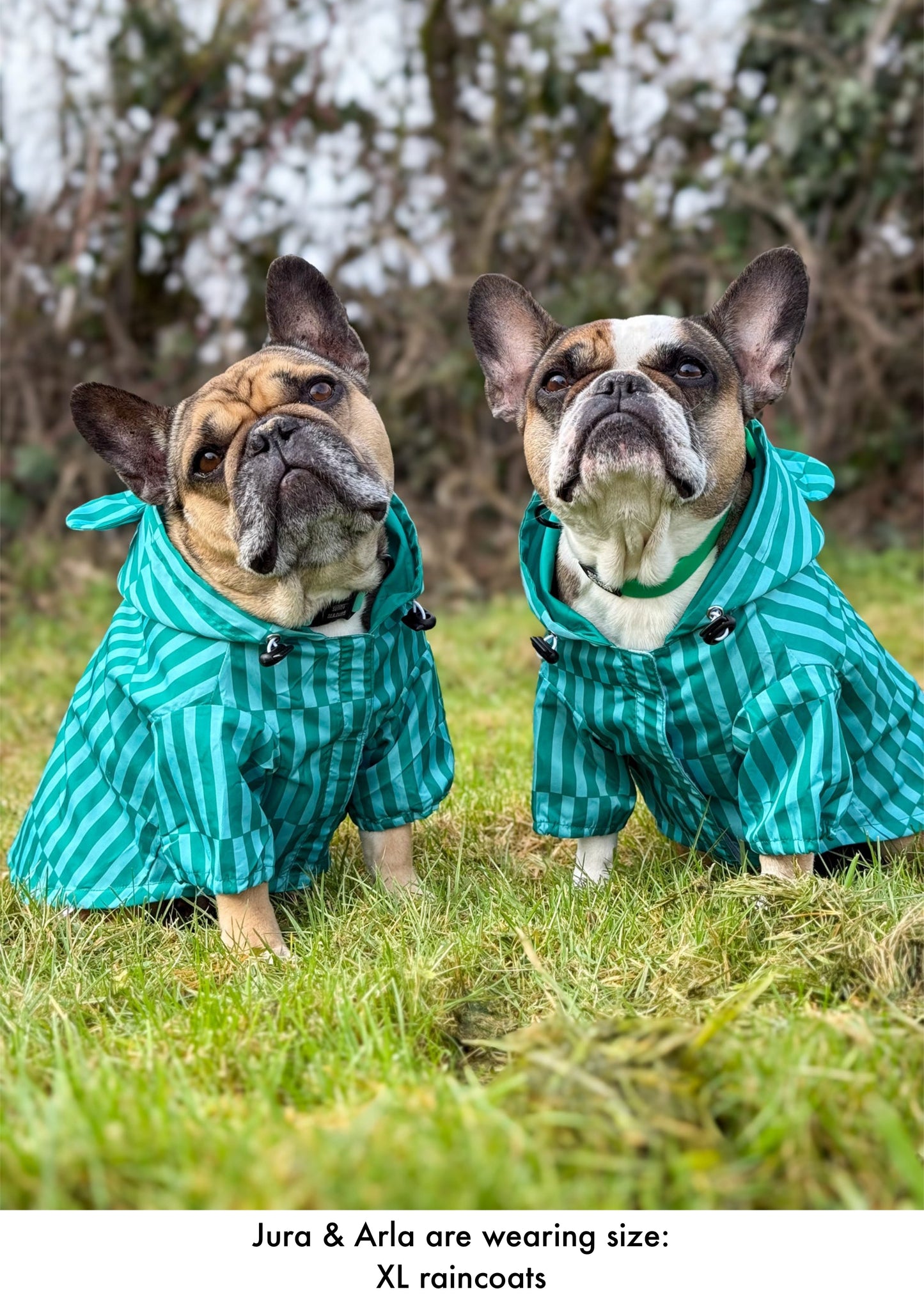 Coastal Calm - Lightweight Teddy Raincoat - PLEASE CHECK MEASUREMENTS