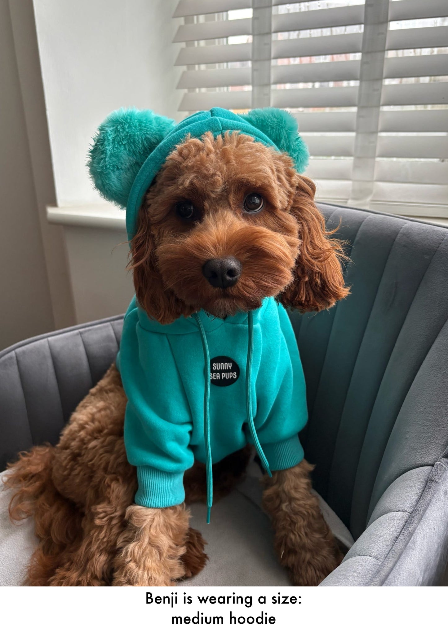 Turquoise - Teddy Bear Hoodie