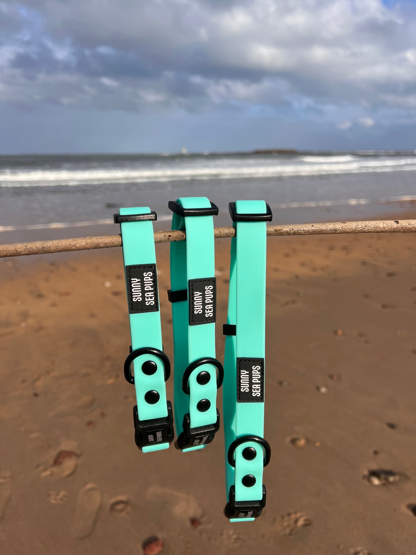 Mint - Waterproof Collar
