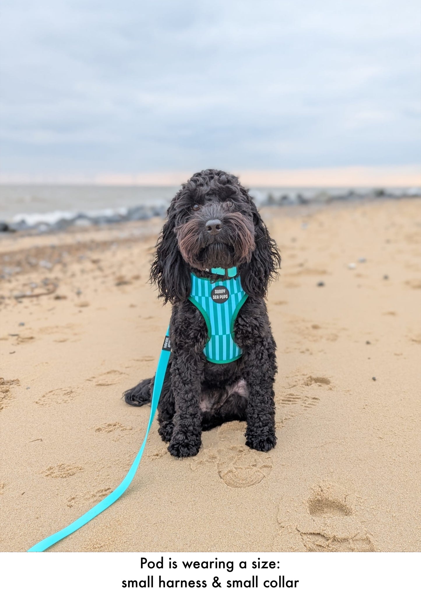 Coastal Calm - Adjustable Harness