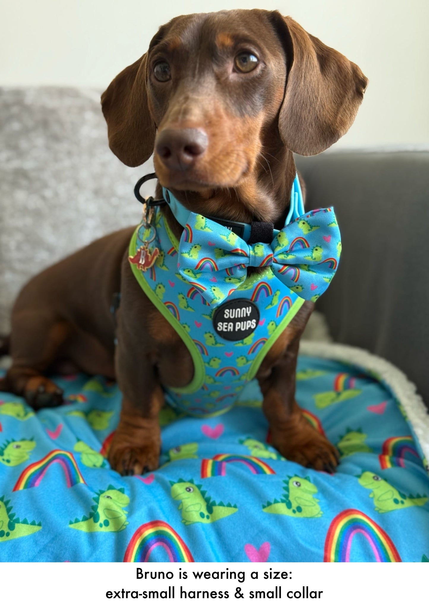 Lil Sea-Saurus - Adjustable Harness