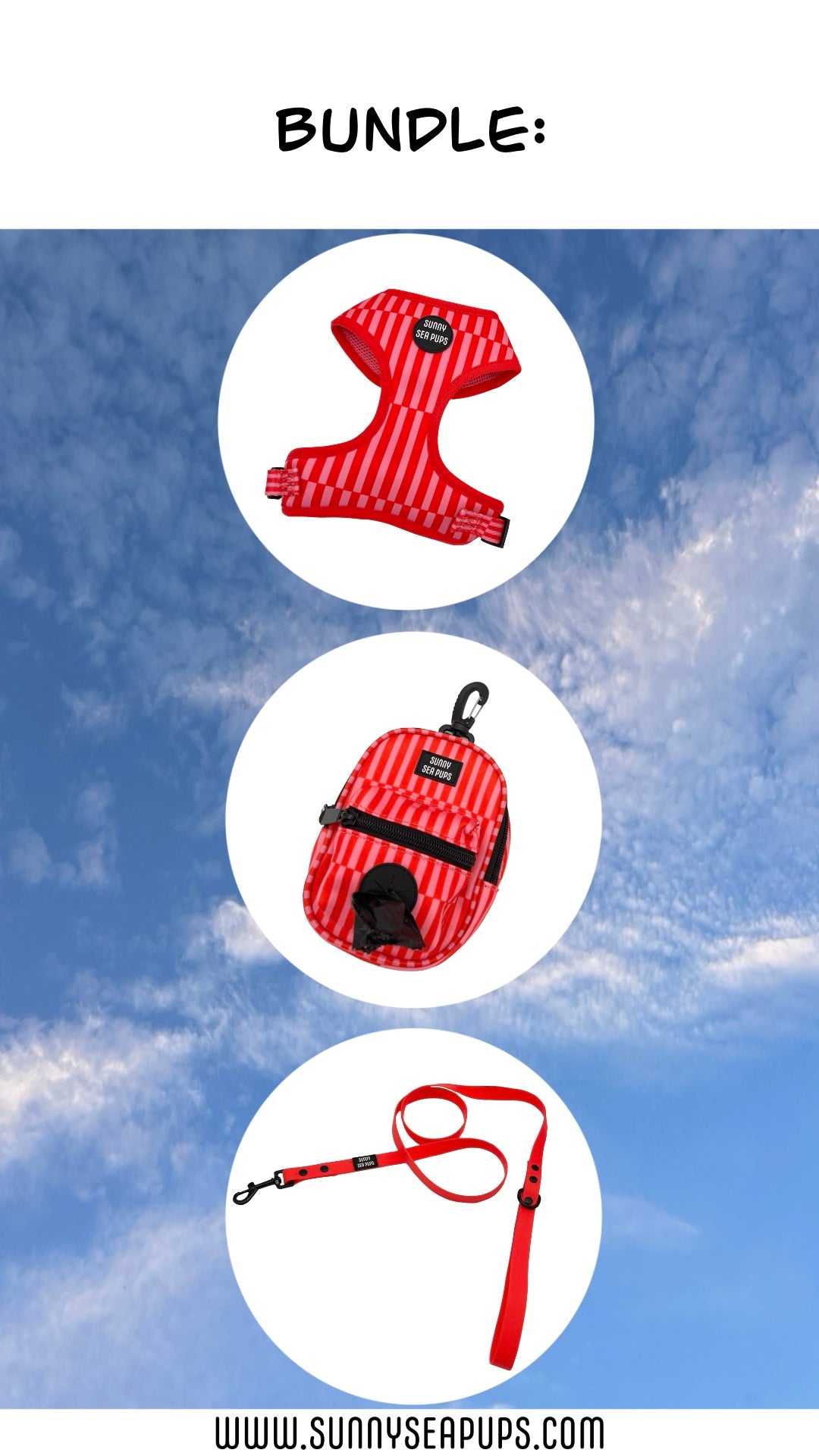 Blush Bay - Bundle 5: Harness, Tums & Bums Pouch, Waterproof Lead