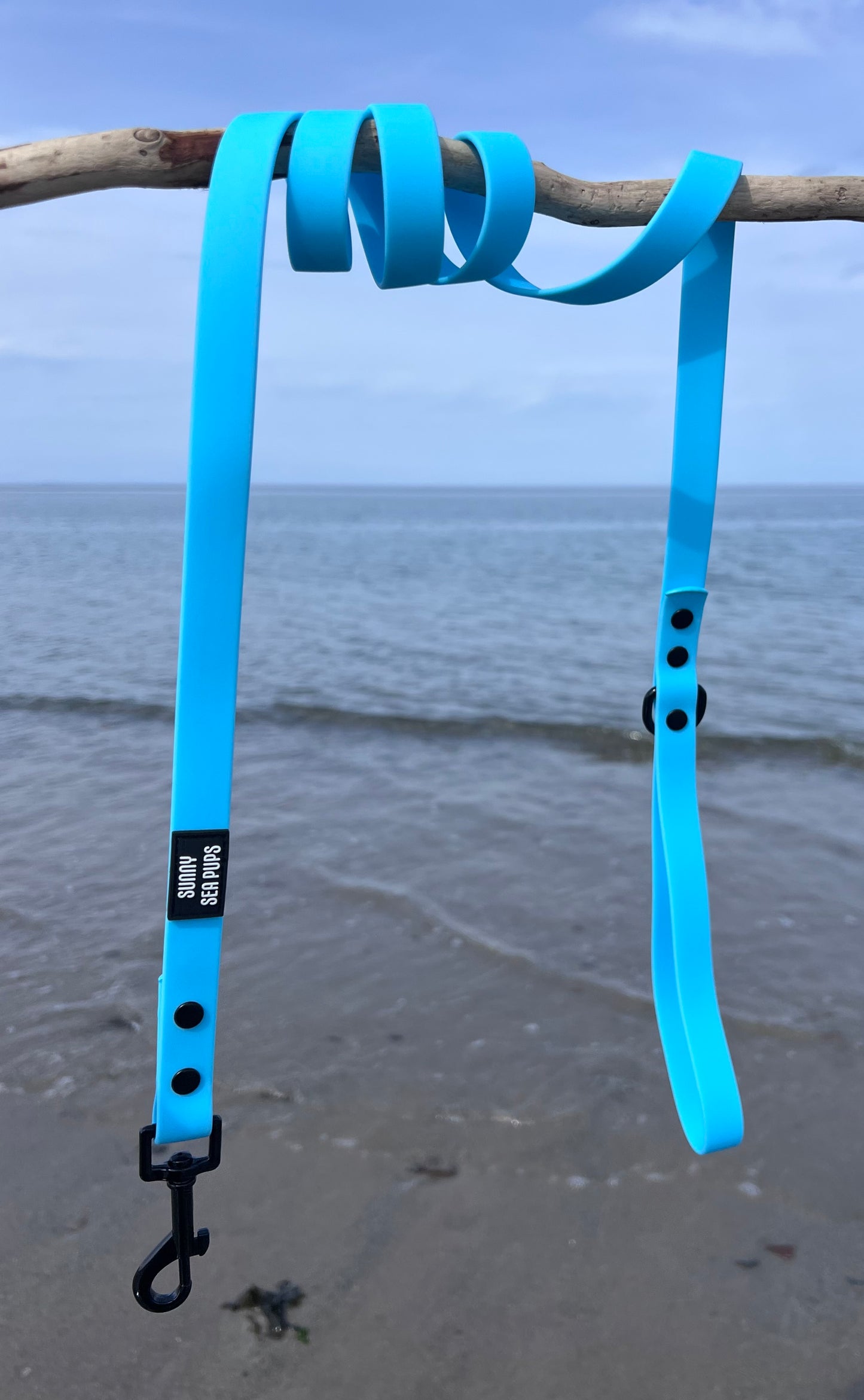 Blue - Waterproof Lead