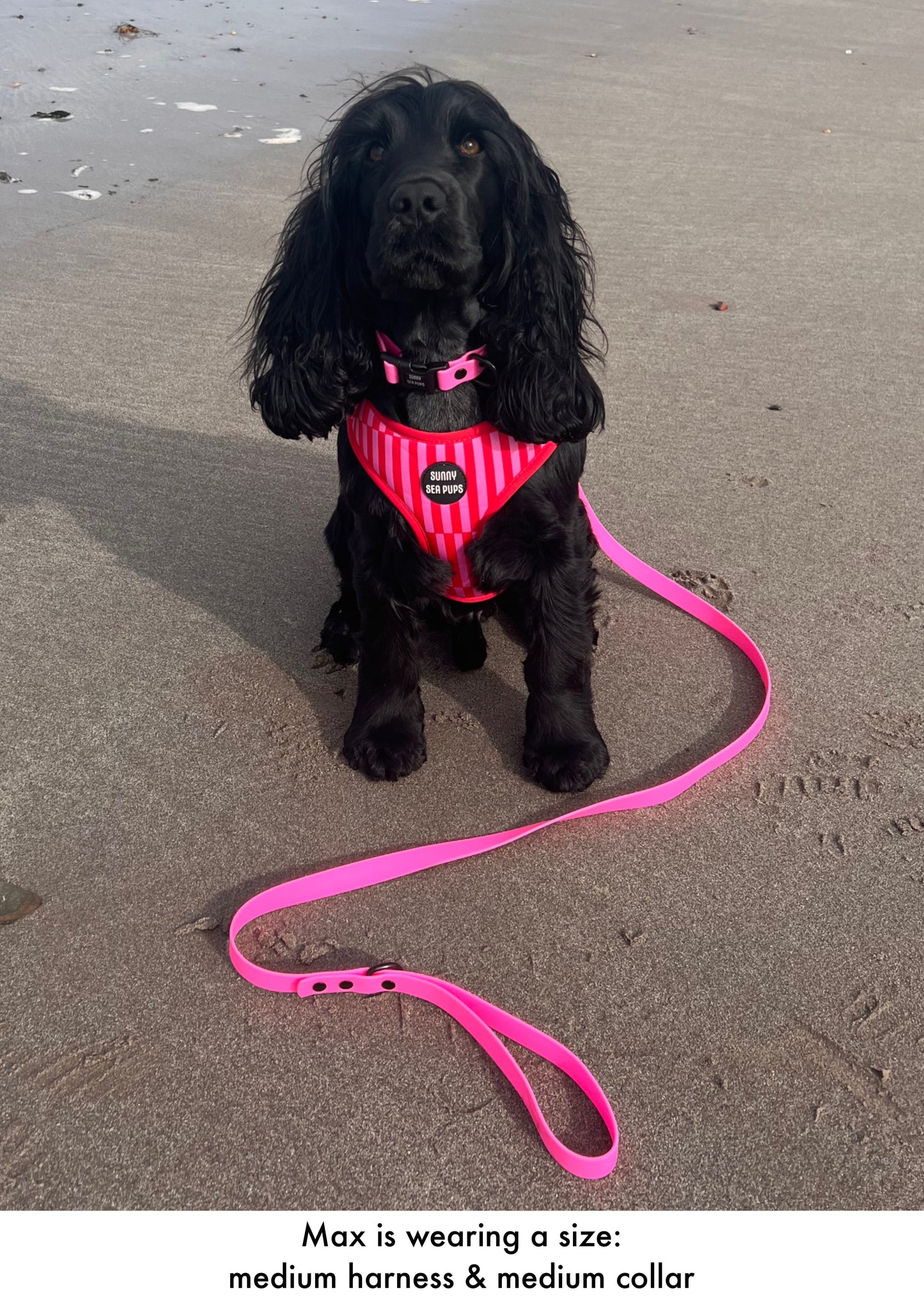 Blush Bay - Adjustable Harness
