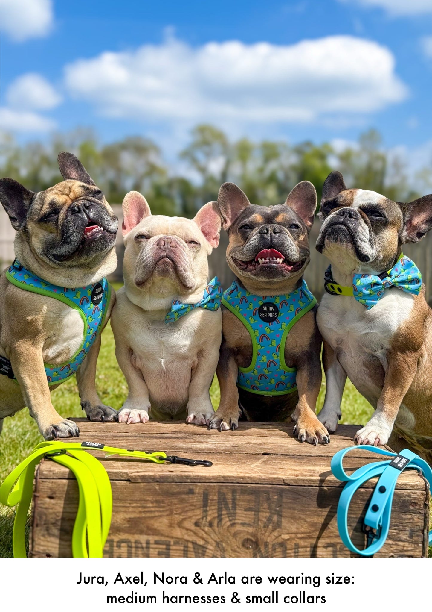 Blue - Waterproof Lead