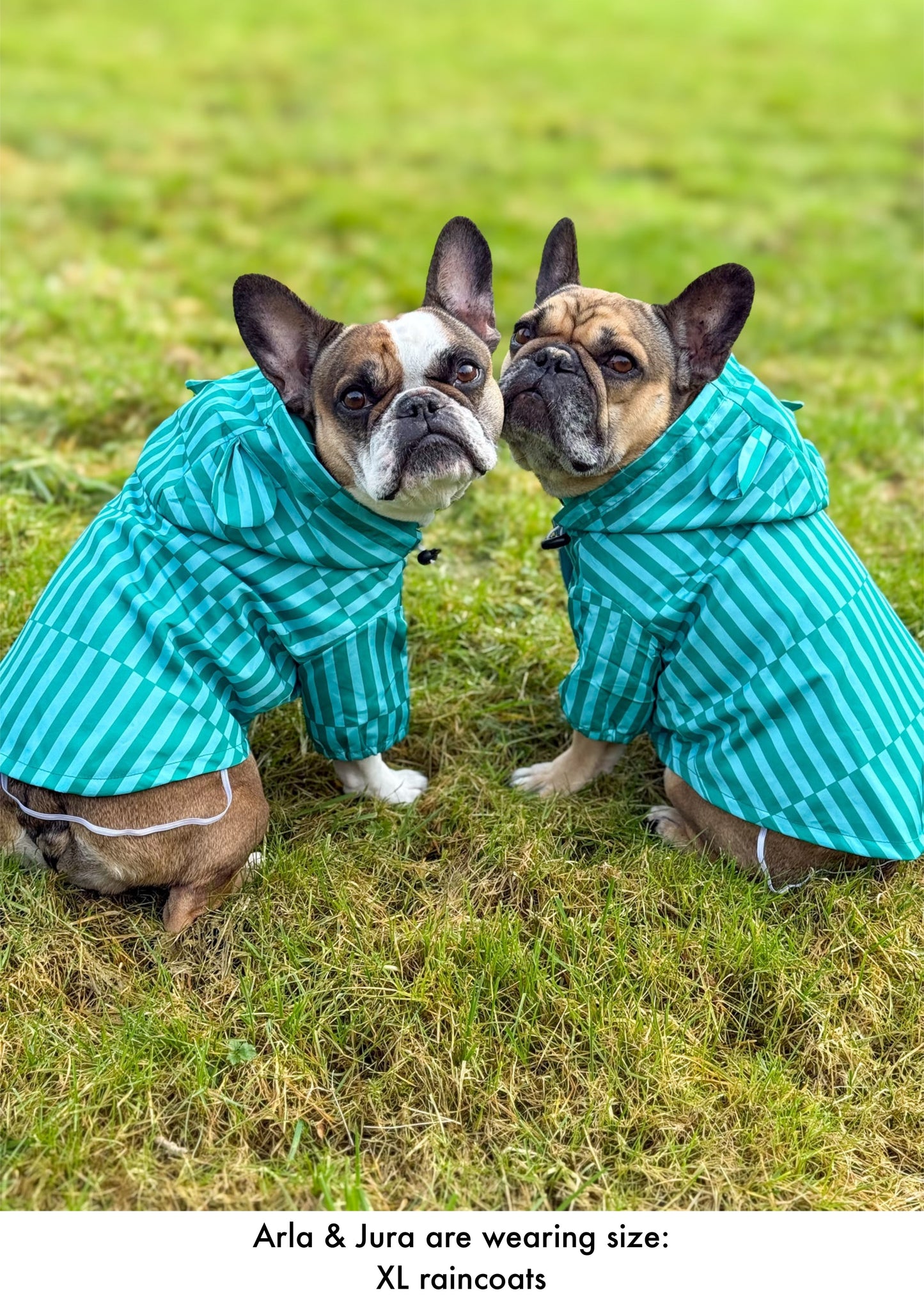 Coastal Calm - Lightweight Teddy Raincoat - PLEASE CHECK MEASUREMENTS