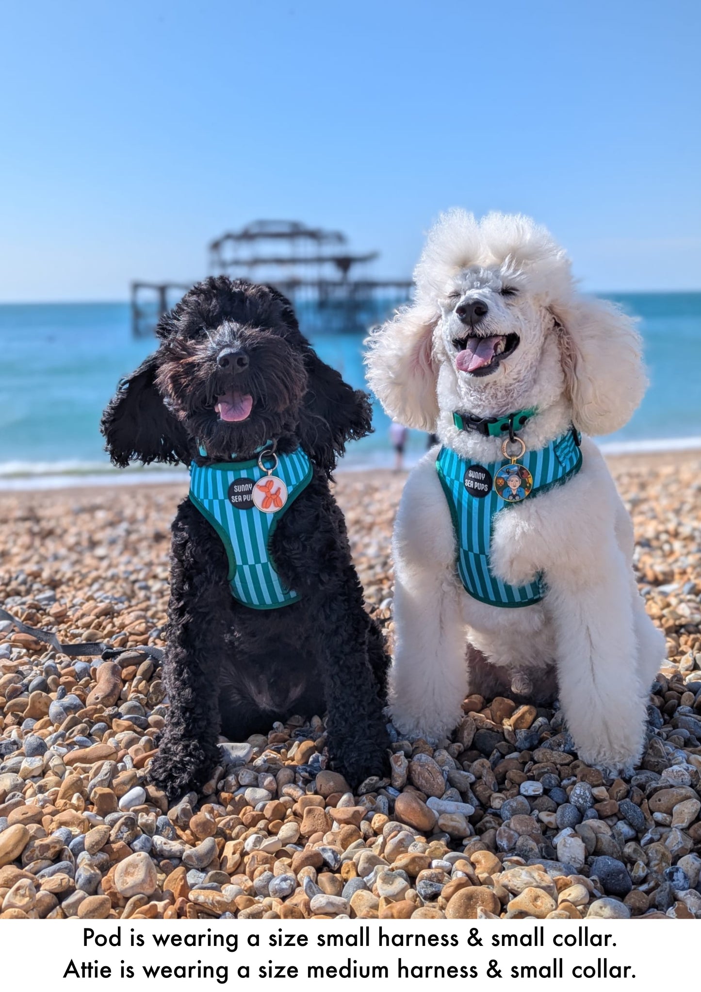 Coastal Calm - Adjustable Harness