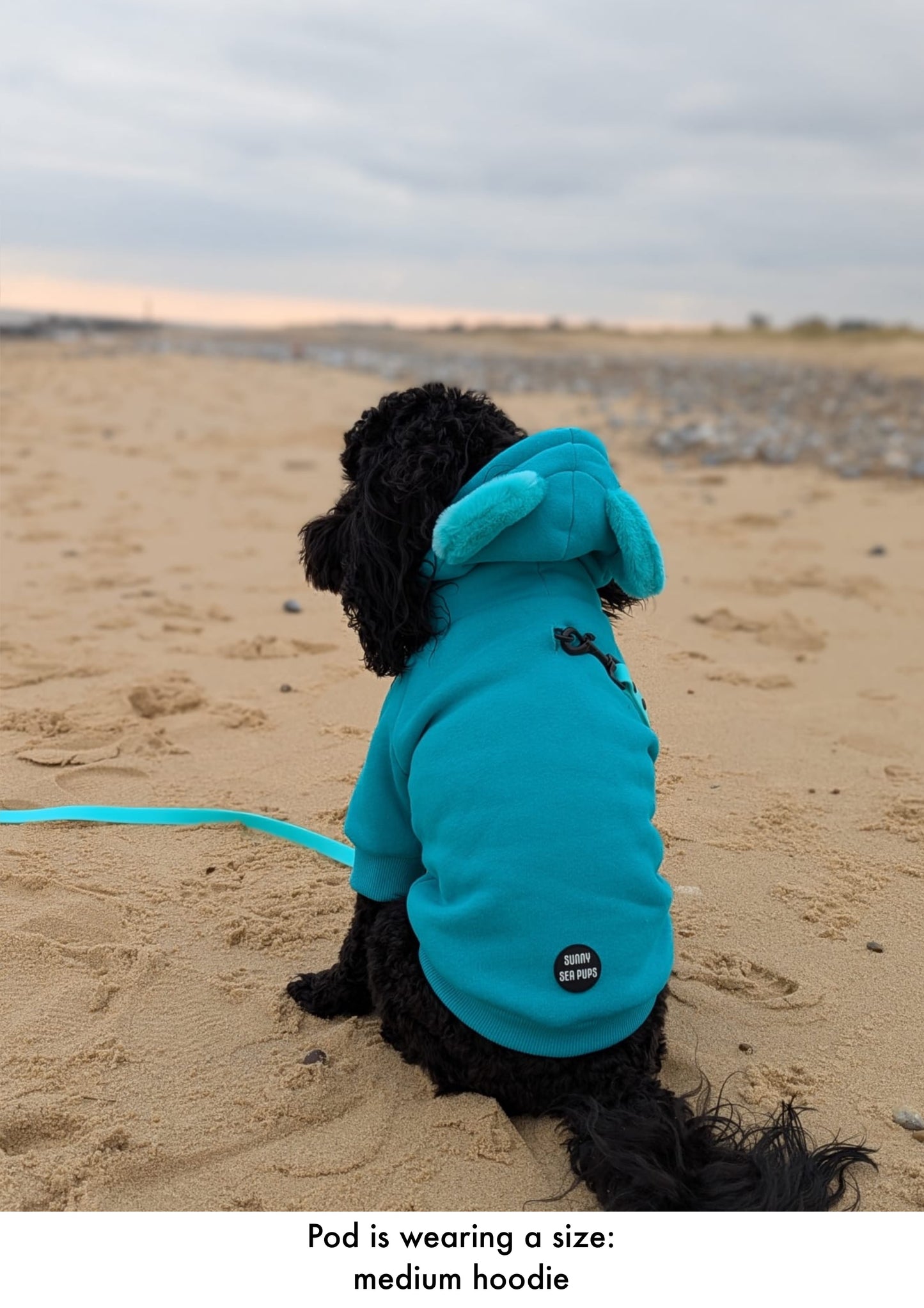 Turquoise - Teddy Bear Hoodie