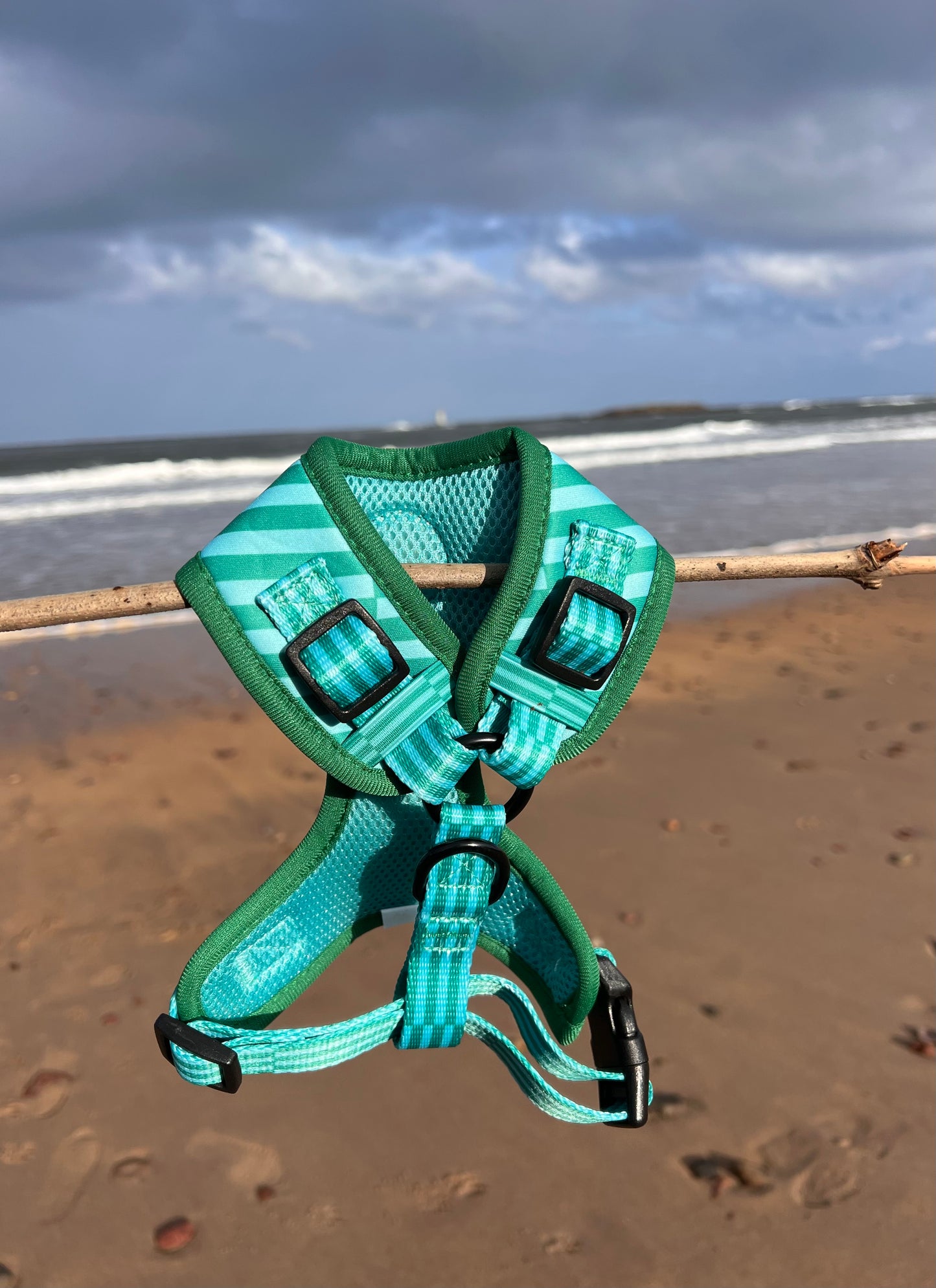 Coastal Calm - Adjustable Harness