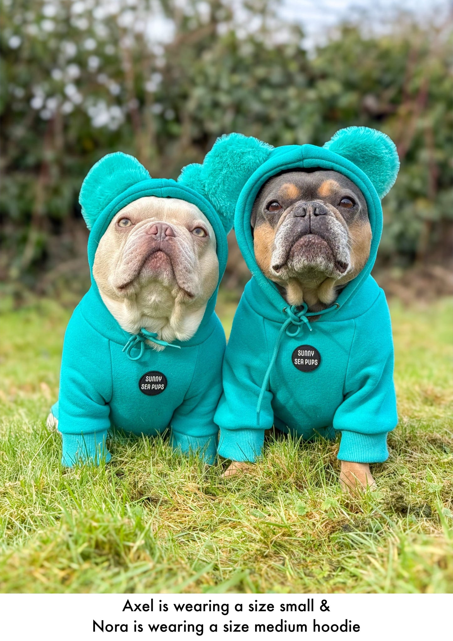 Turquoise - Teddy Bear Hoodie