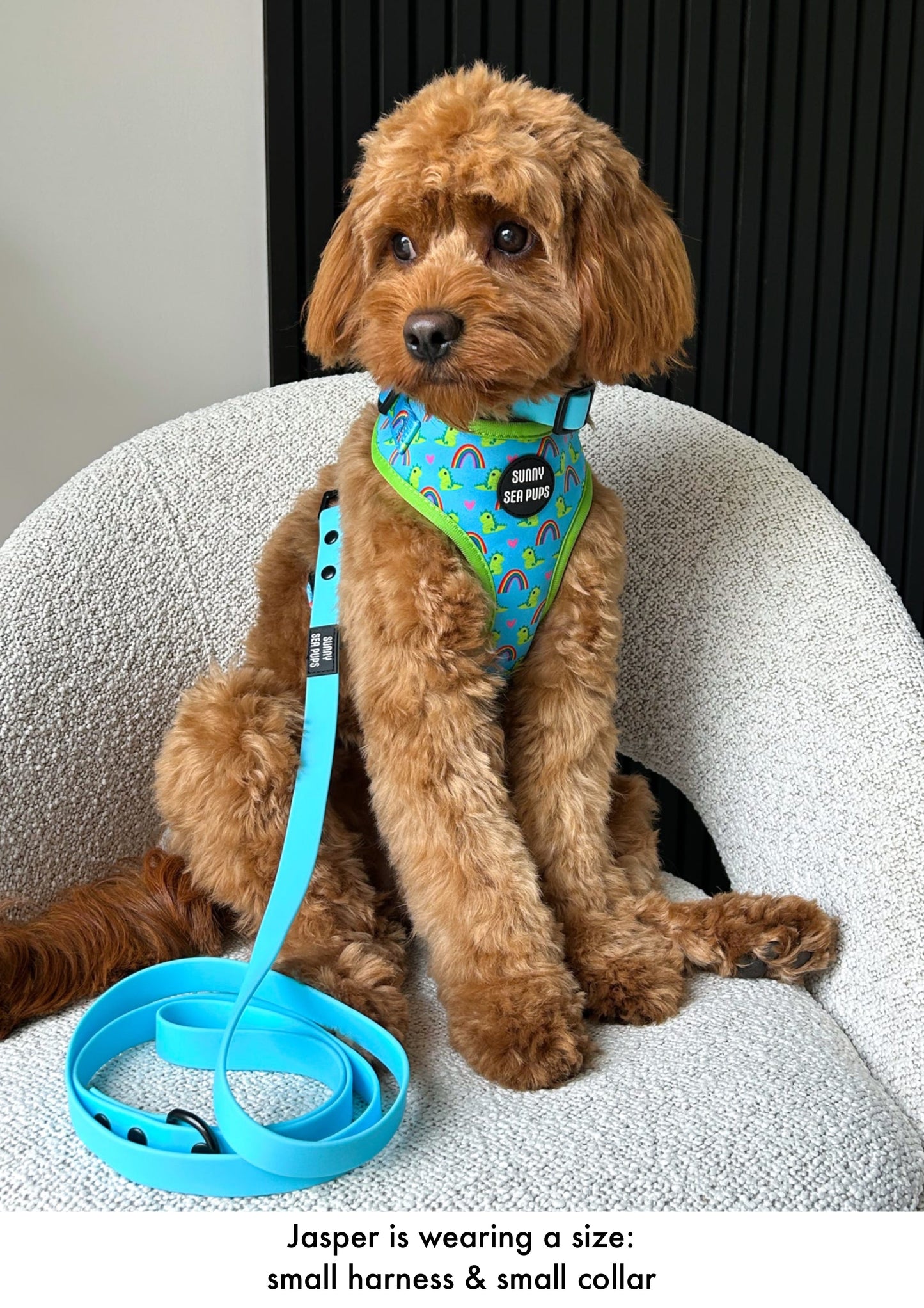 Lil Sea-Saurus - Adjustable Harness
