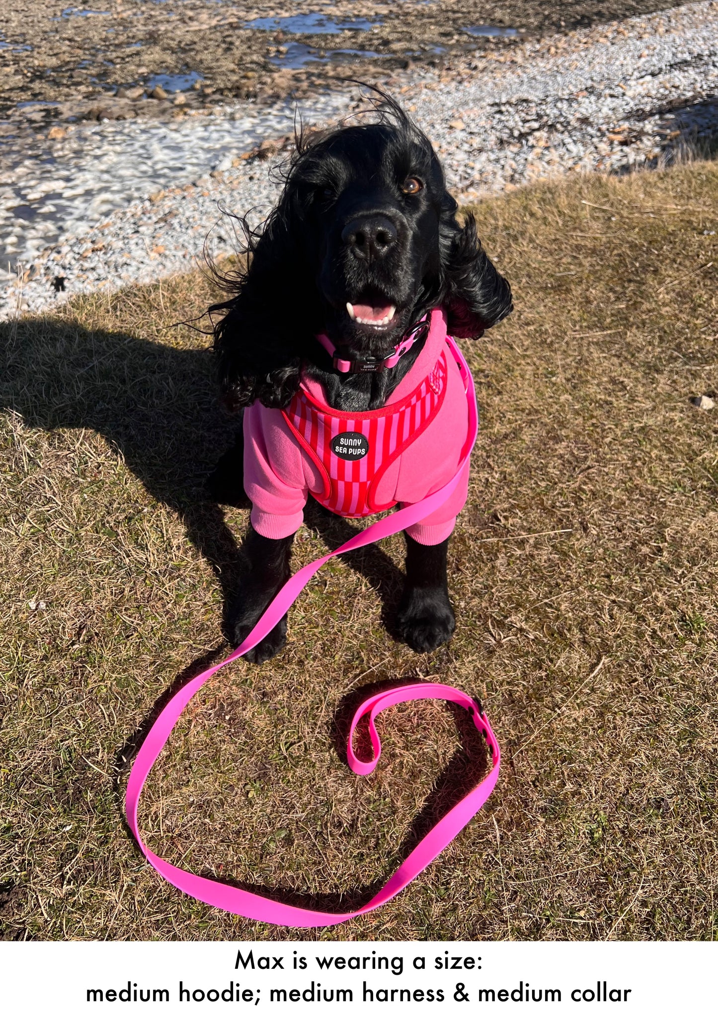 Pink - Teddy Bear Hoodie