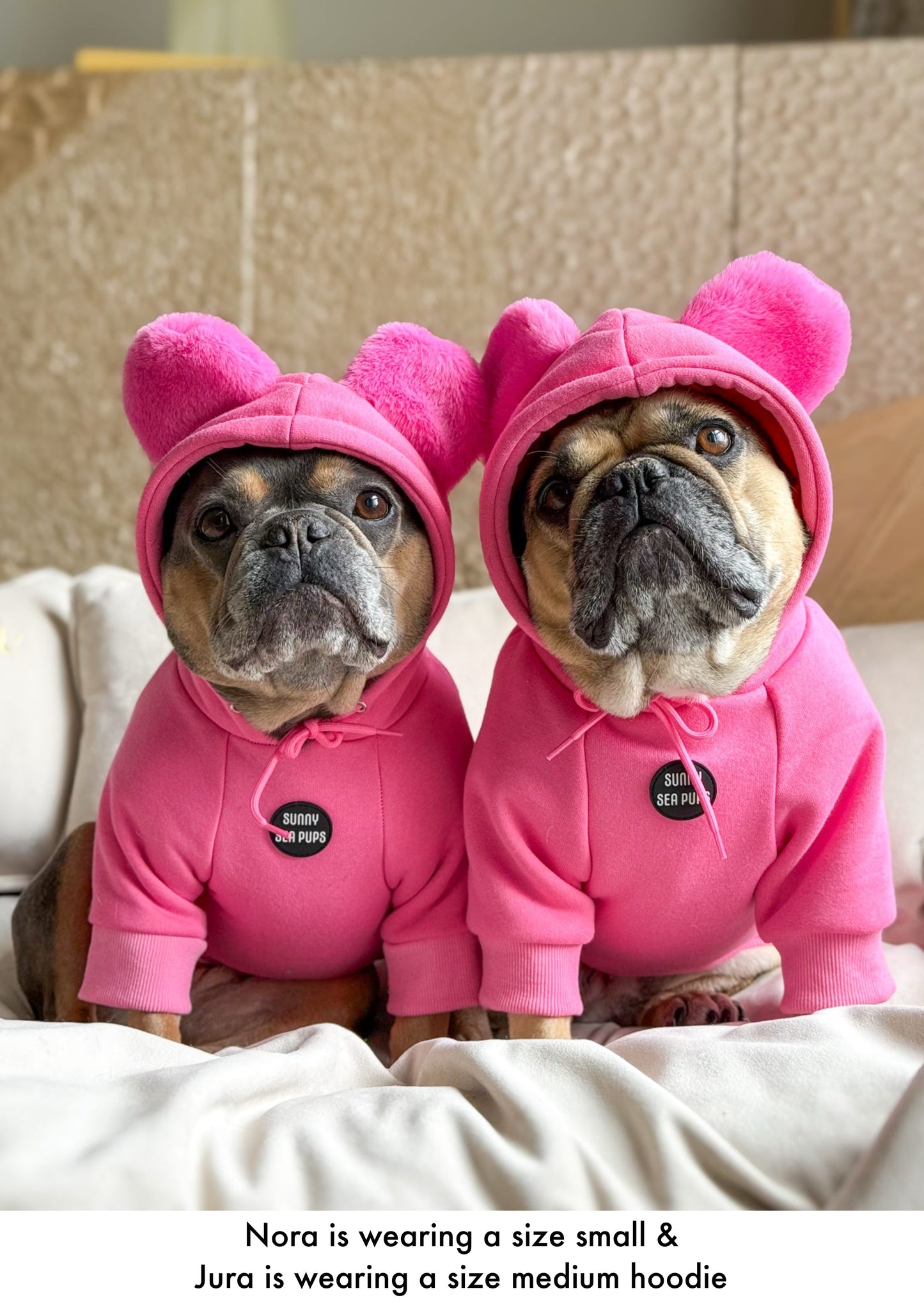Pink - Teddy Bear Hoodie