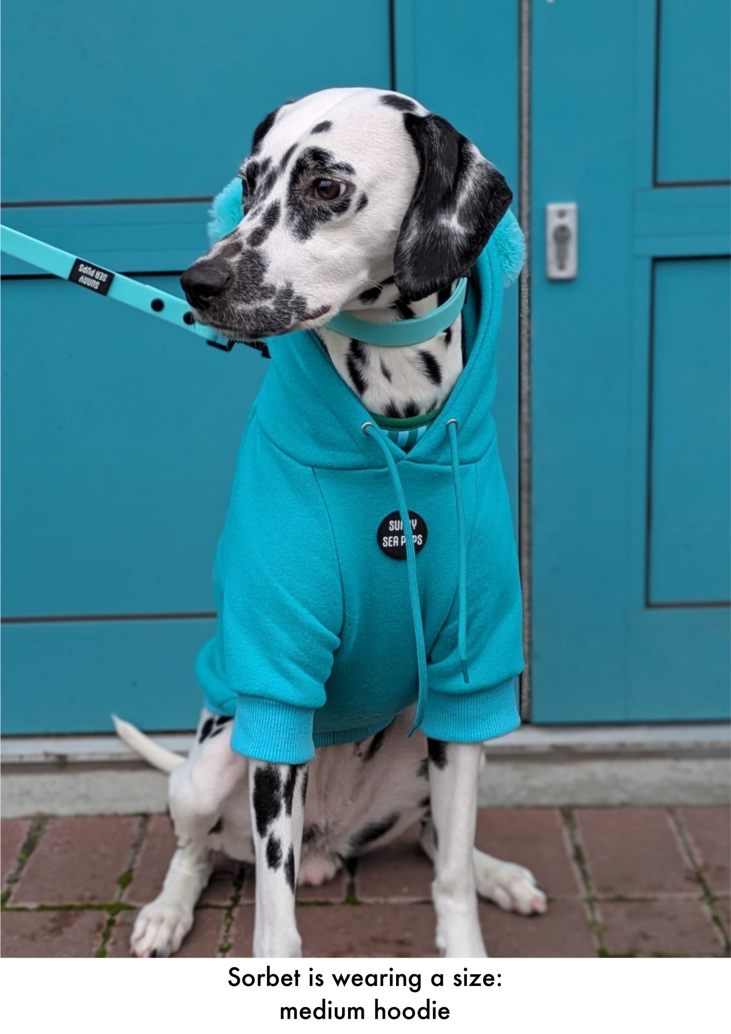 Turquoise - Teddy Bear Hoodie