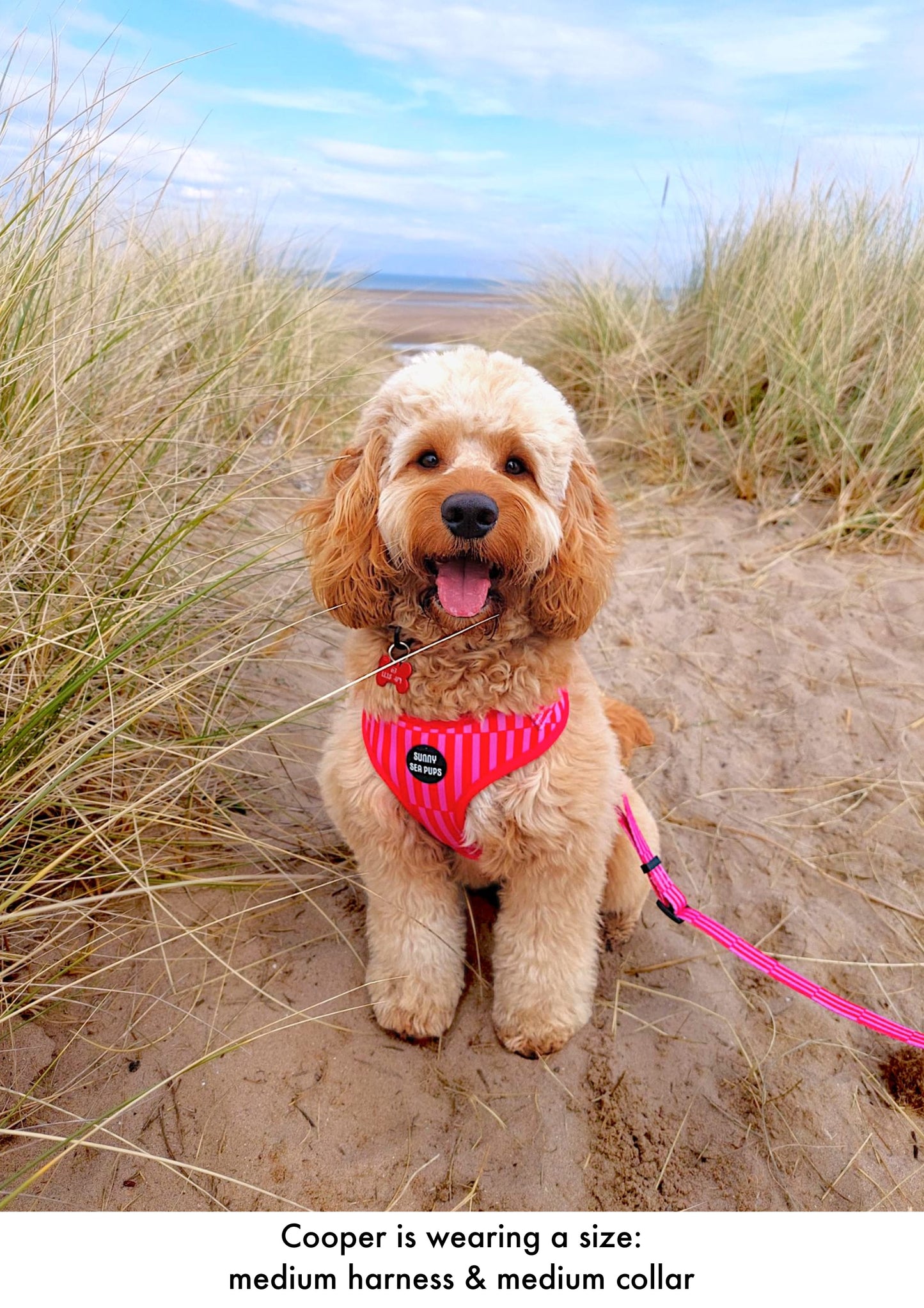 Blush Bay - Adjustable Harness