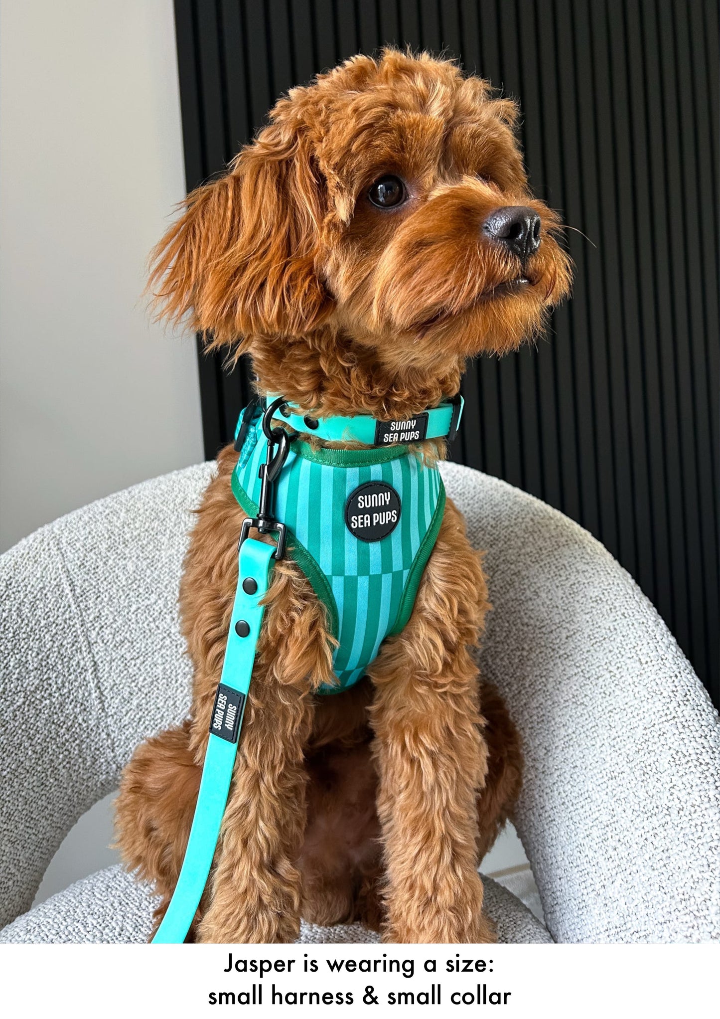 Mint - Waterproof Collar