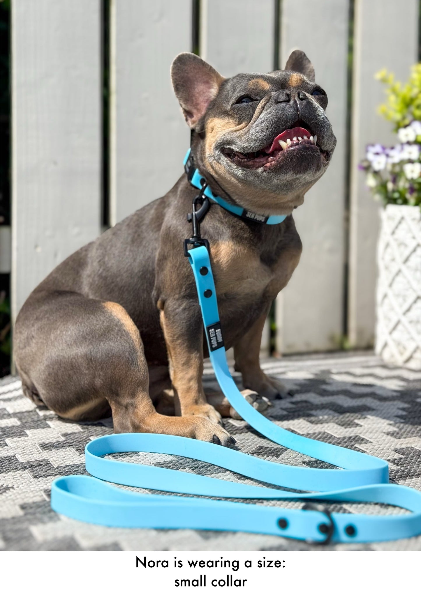 Blue - Waterproof Collar