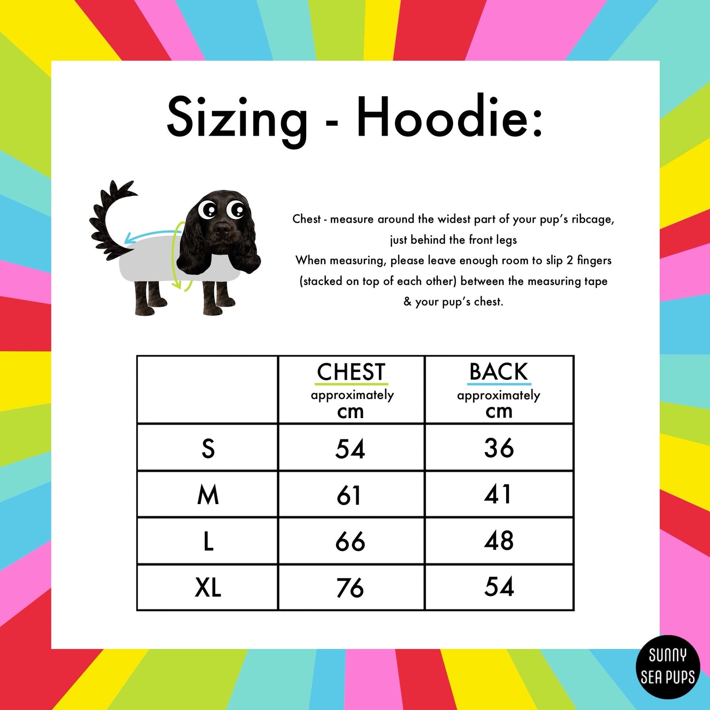 Special Offer: Blush Bay Harness & Pink Hoodie