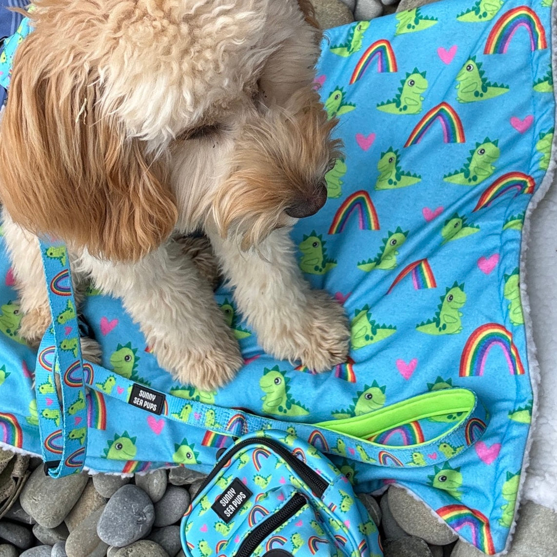 Lil Sea-Saurus - Blanket - Buy 1 & we’ll DONATE 2