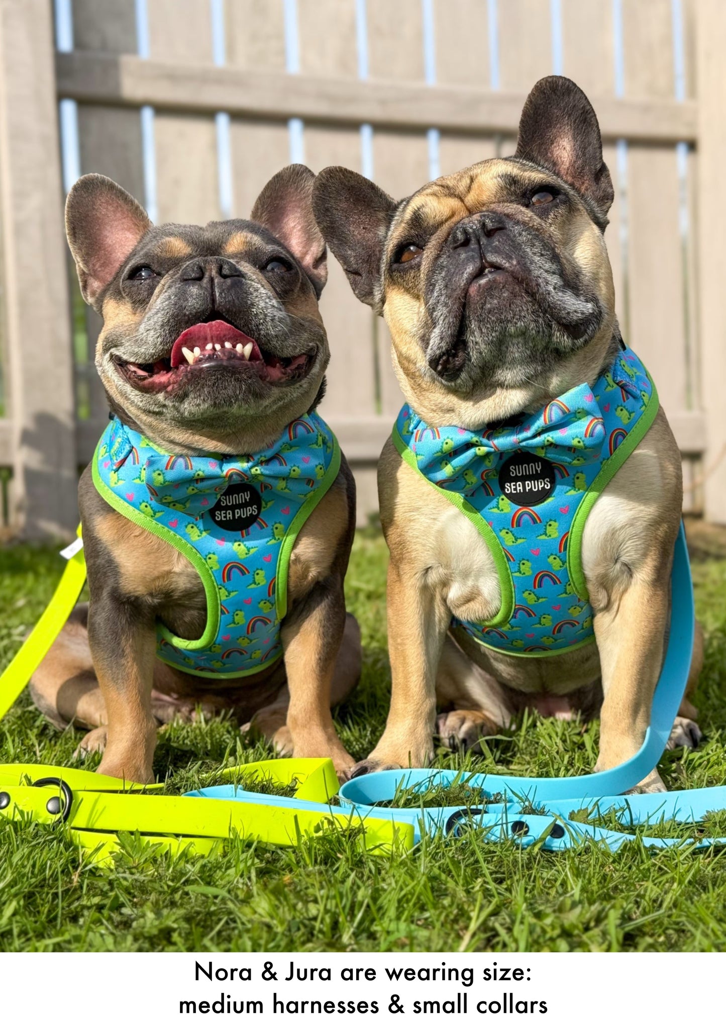 Lil Sea-Saurus - Bow Tie