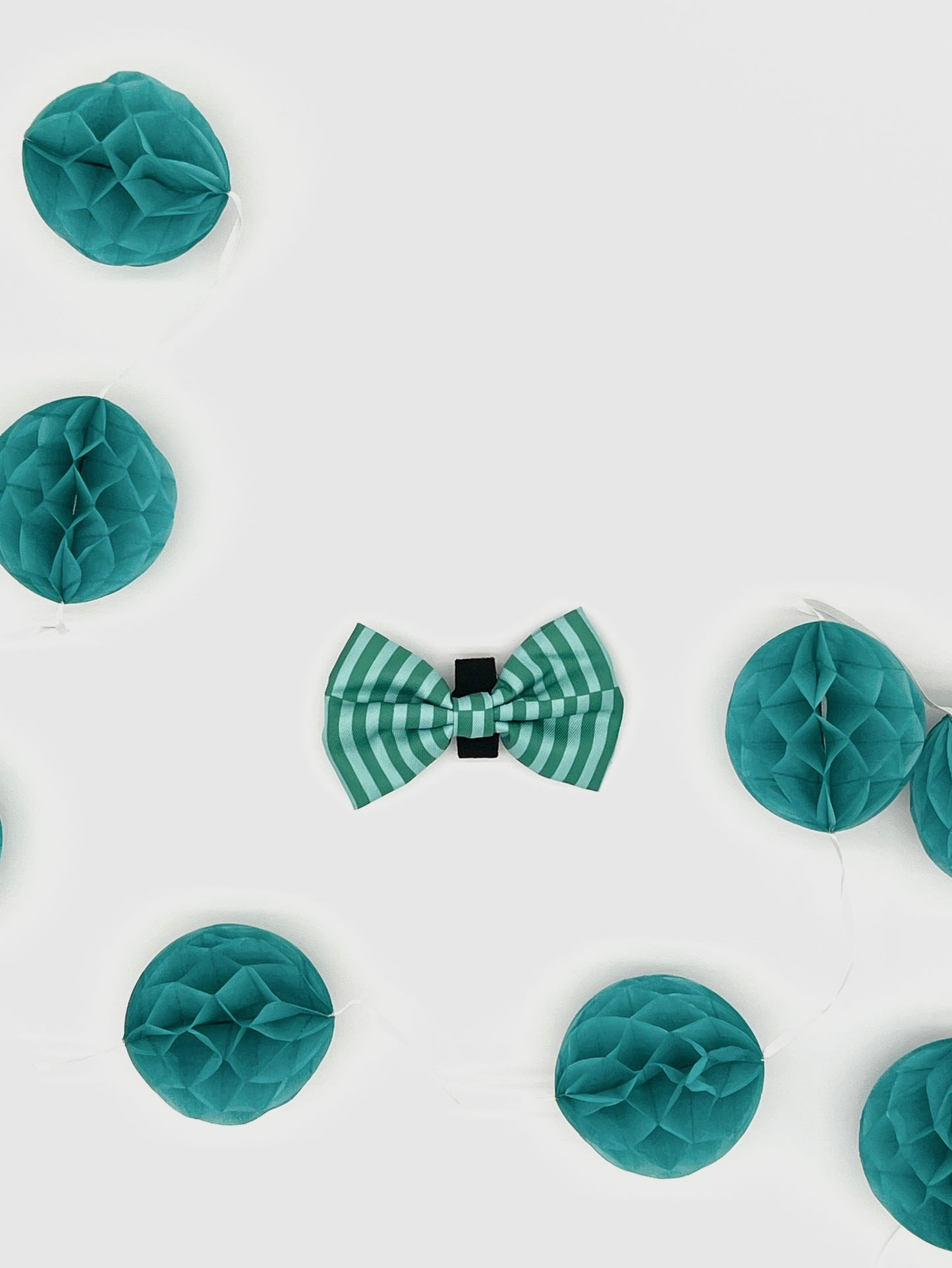 Coastal Calm - Bow Tie